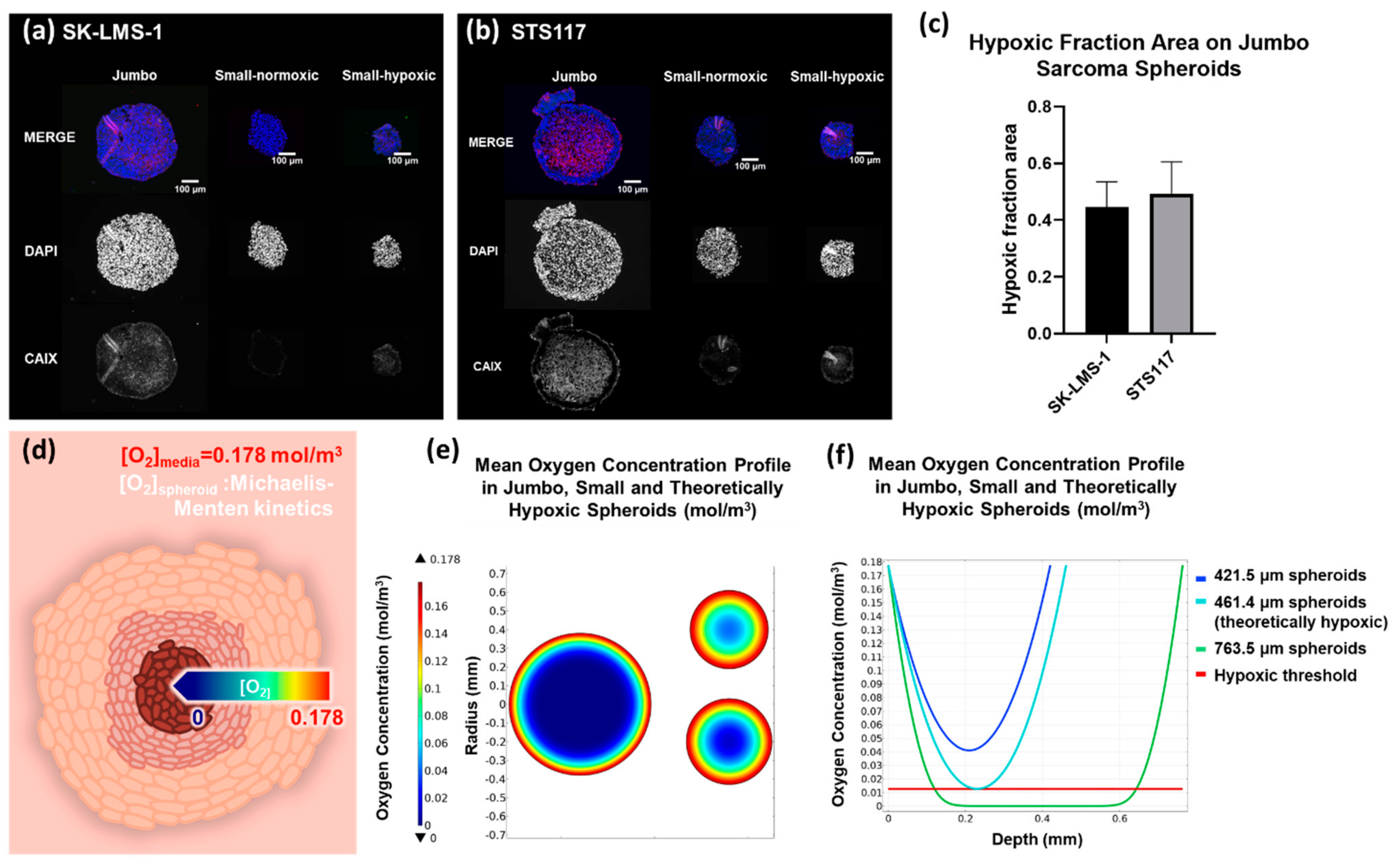 Cancers 13 04046 g004