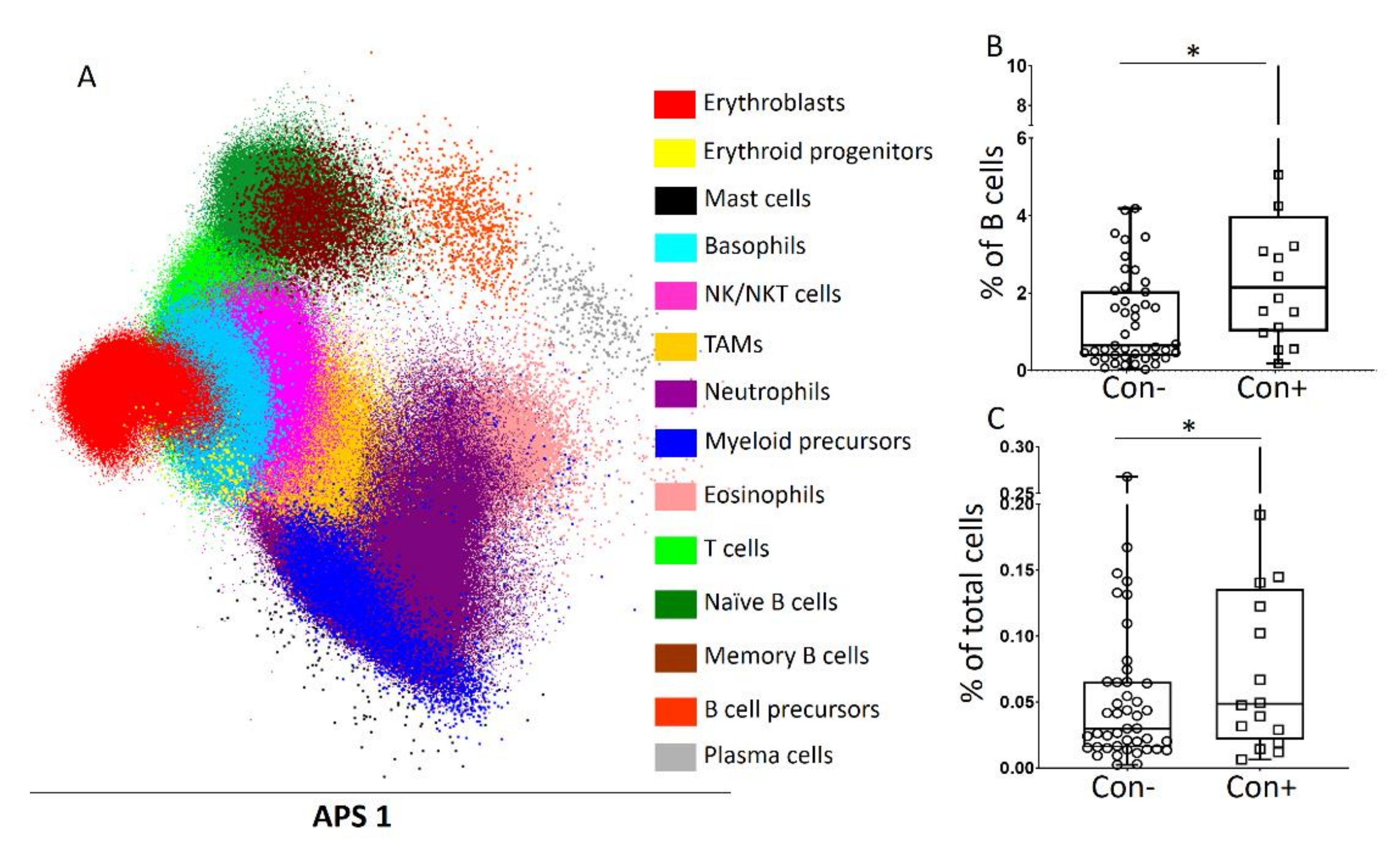 Cancers 13 04047 g005 Cancers 13 04047 g005