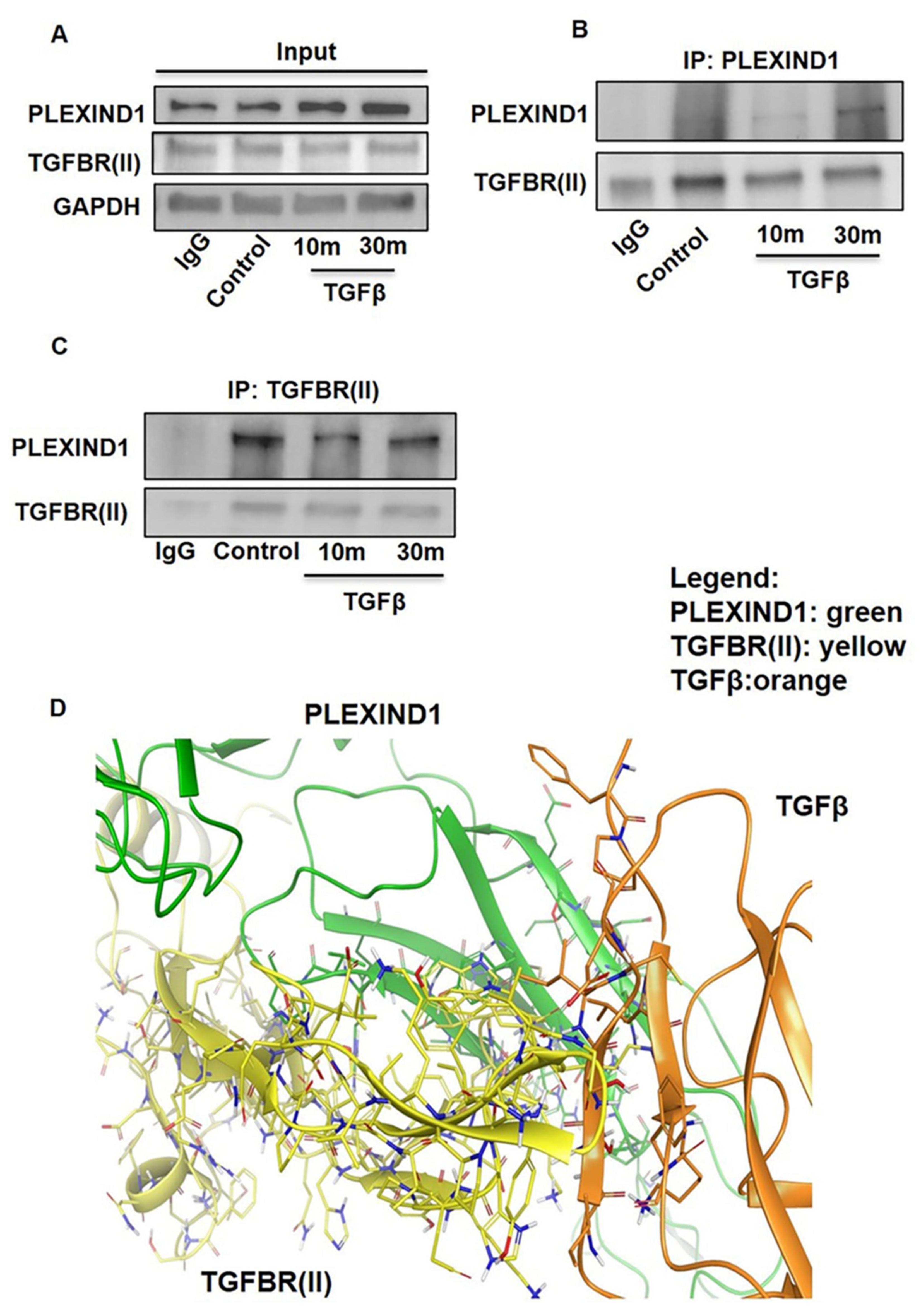 Cancers 13 04048 g003