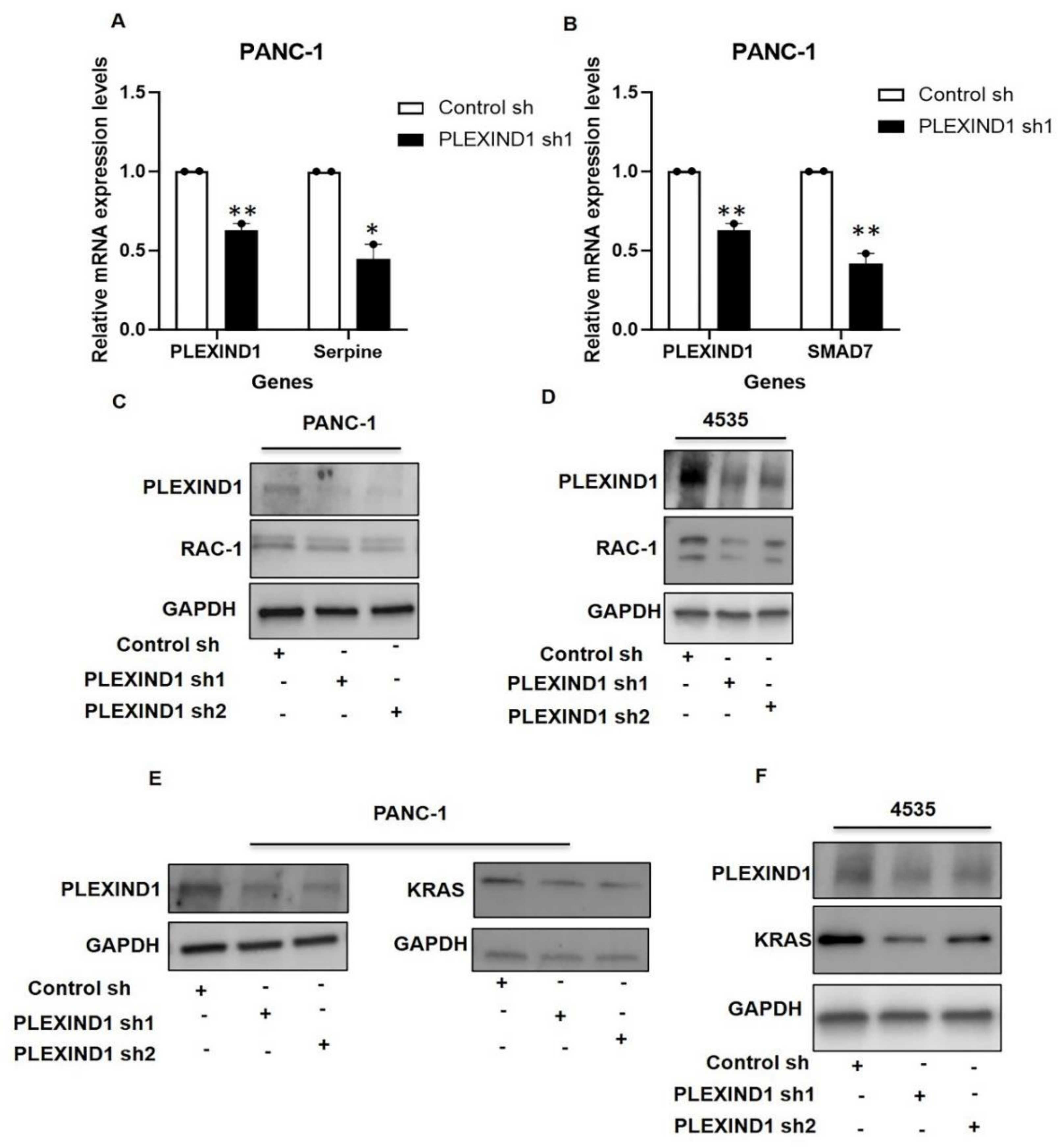 Cancers 13 04048 g005