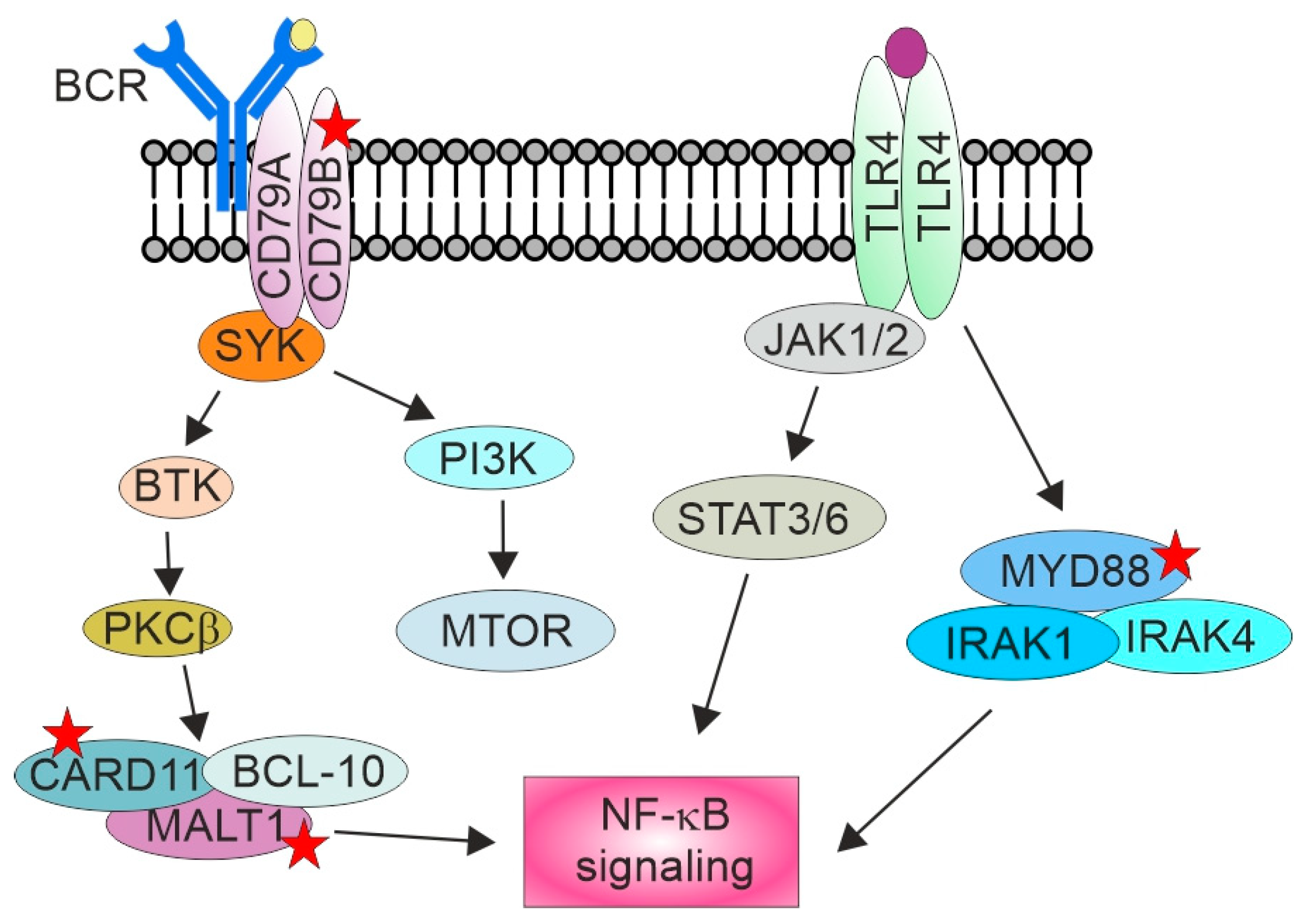 Cancers 13 04049 g001