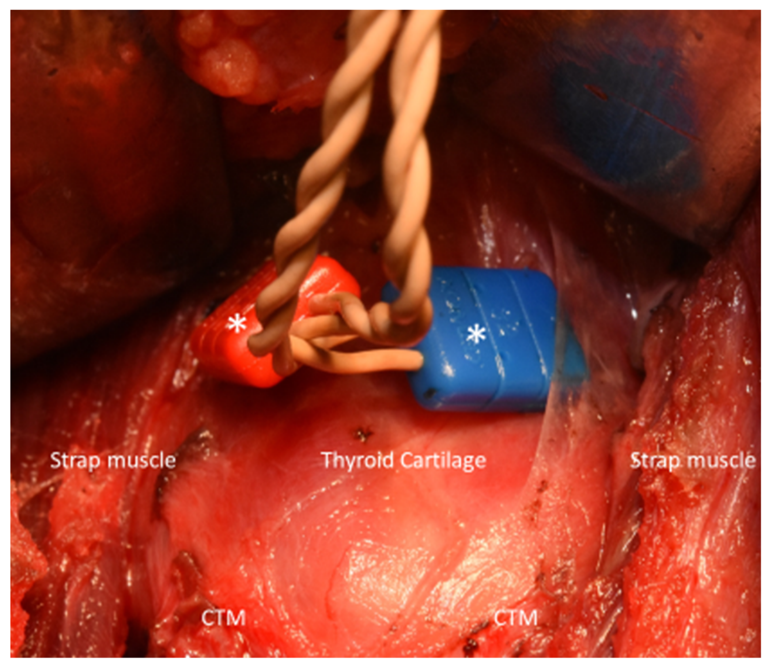 Cancers 13 04051 g001