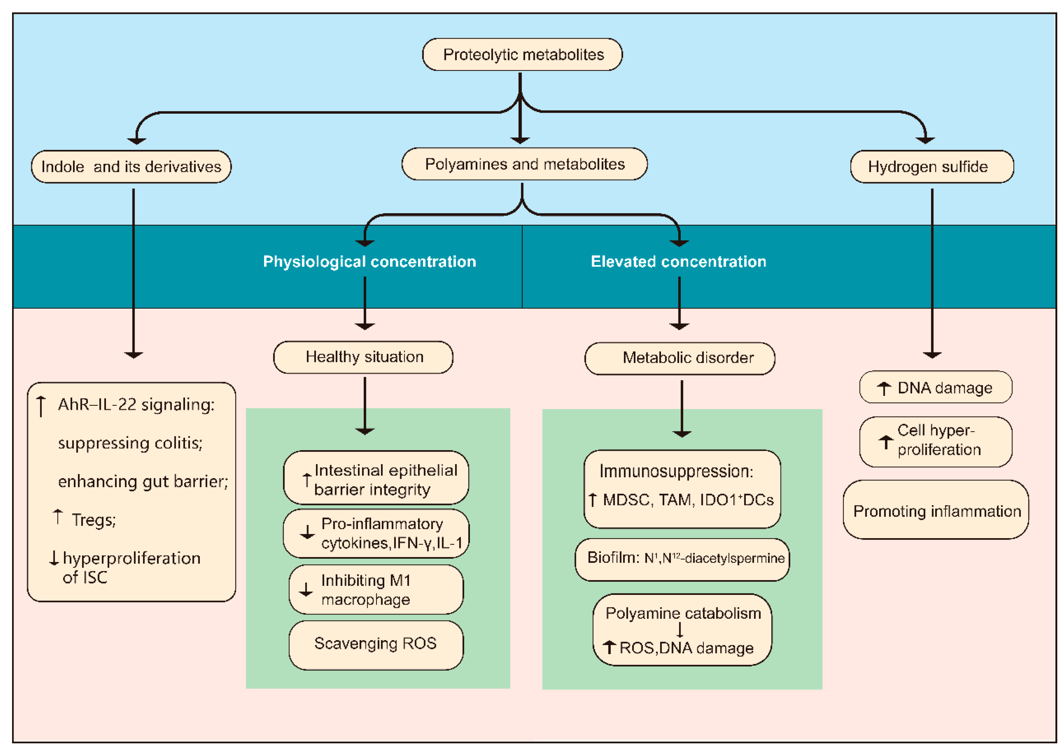 Cancers 13 04054 g002 550