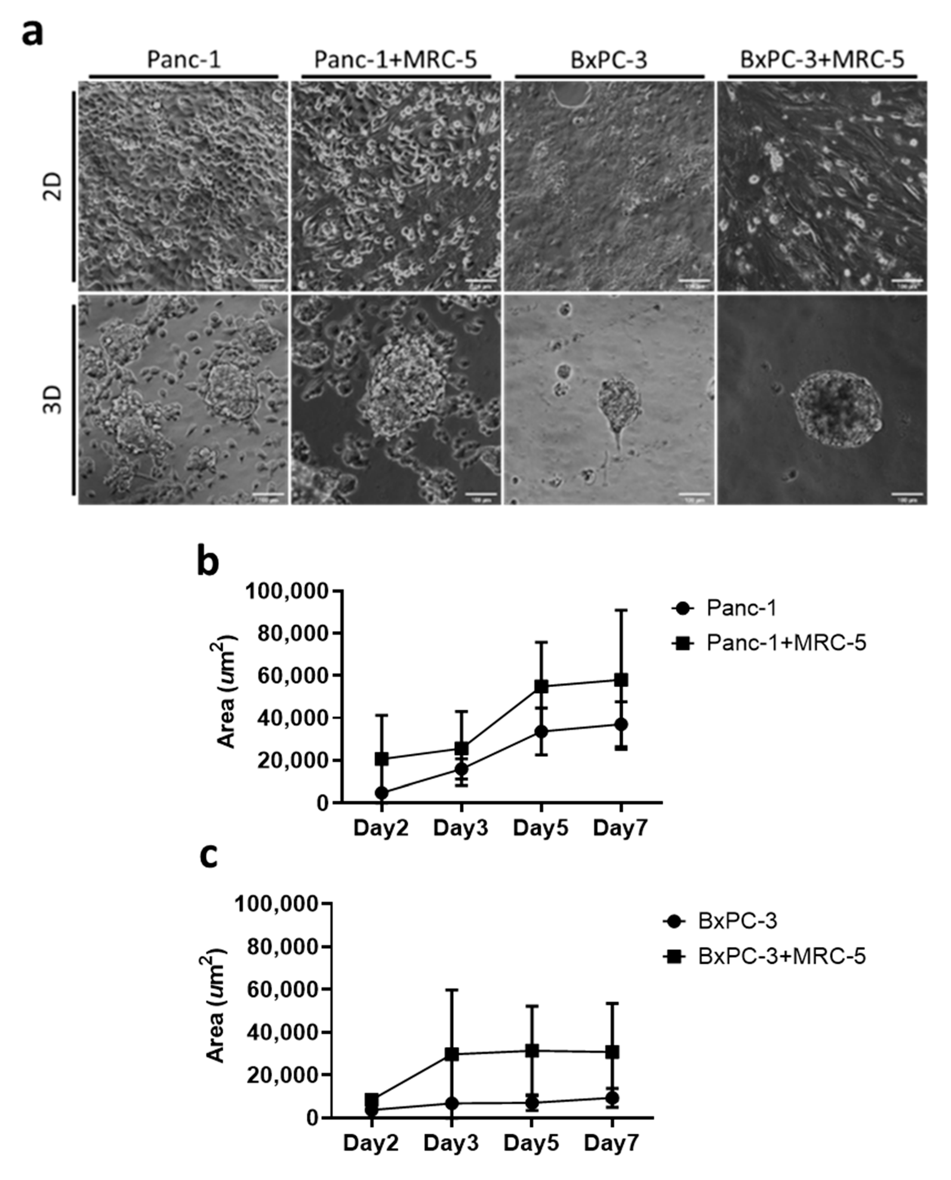 Cancers 13 04058 g001