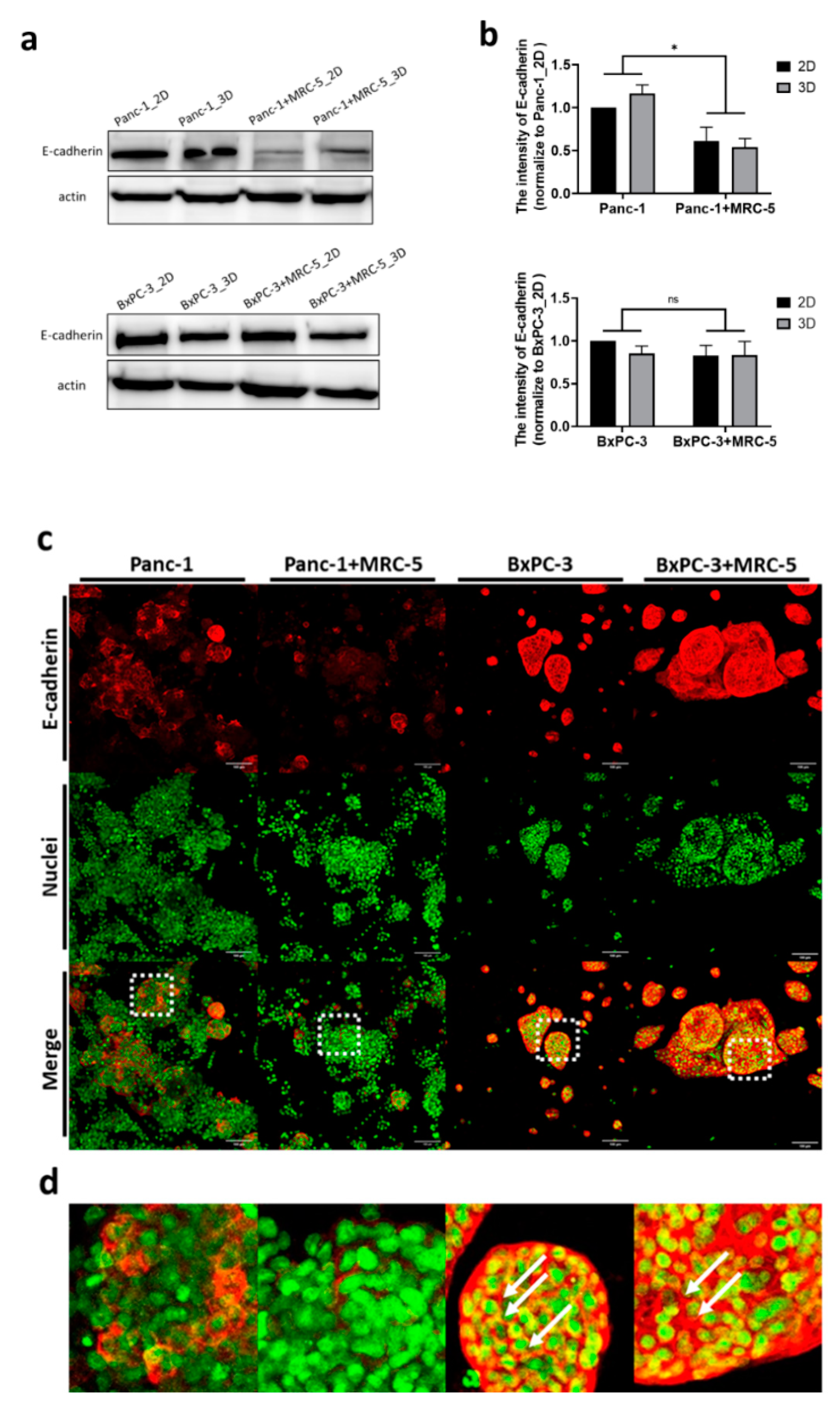Cancers 13 04058 g004
