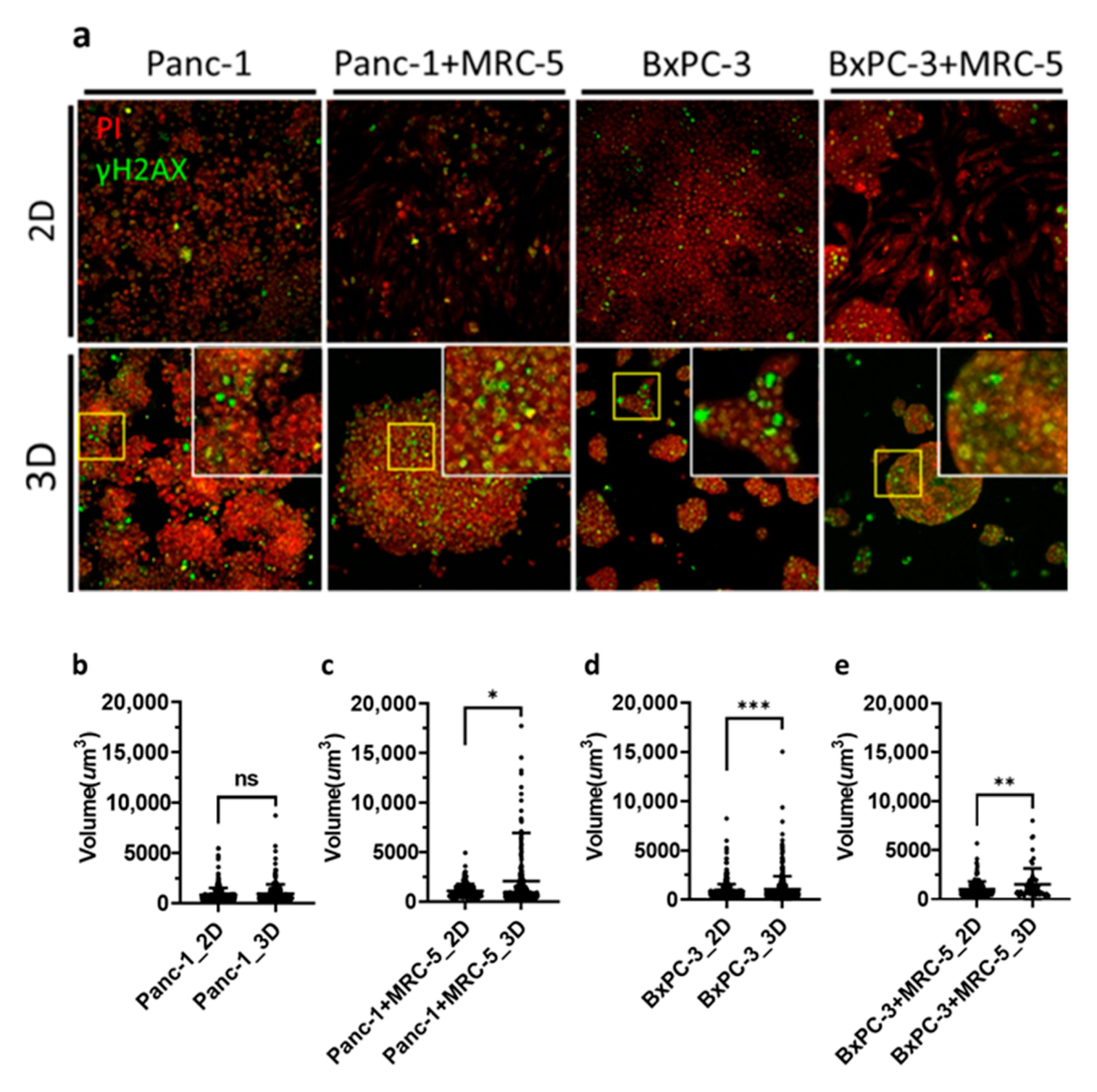 Cancers 13 04058 g005