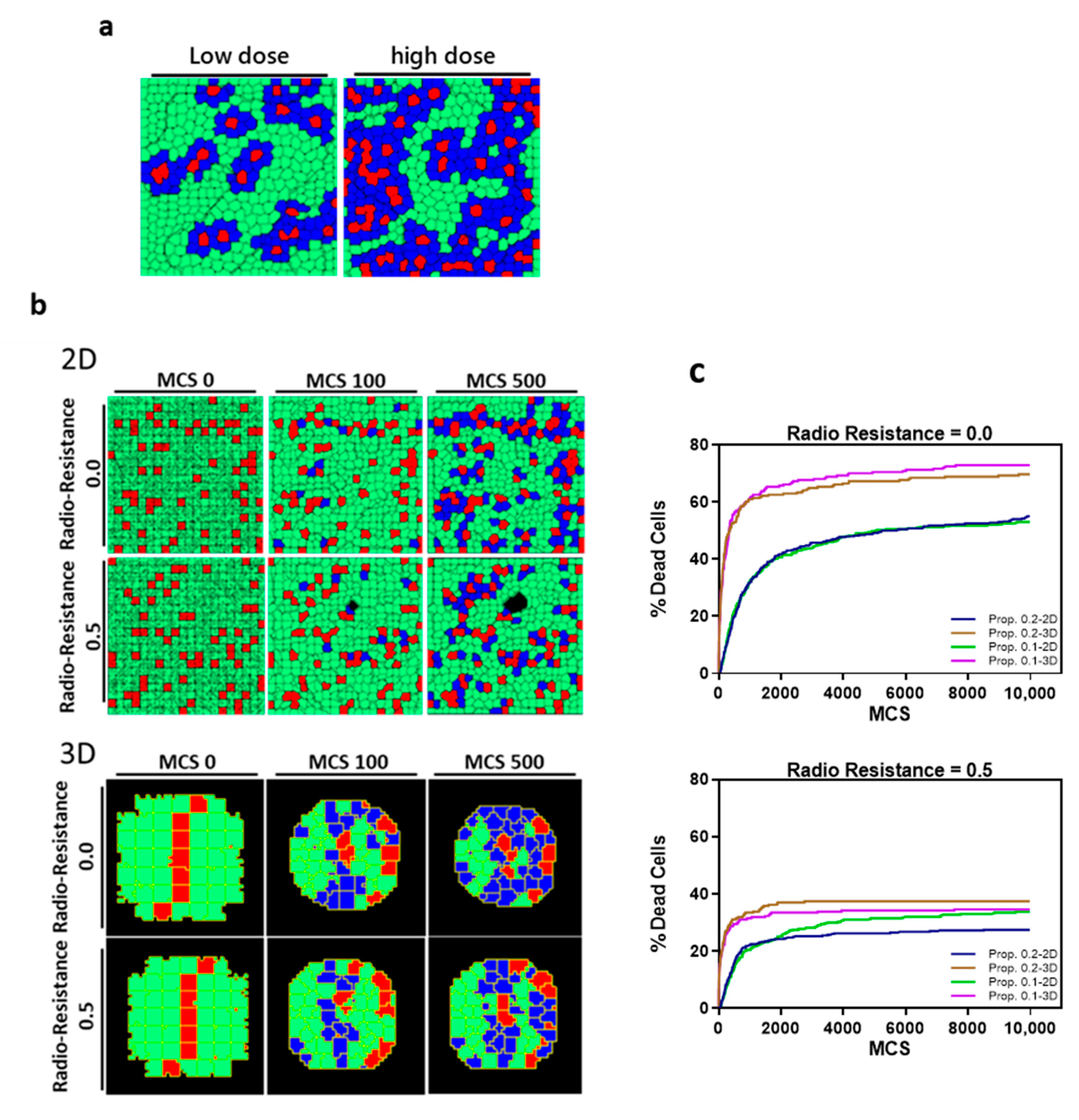 Cancers 13 04058 g006