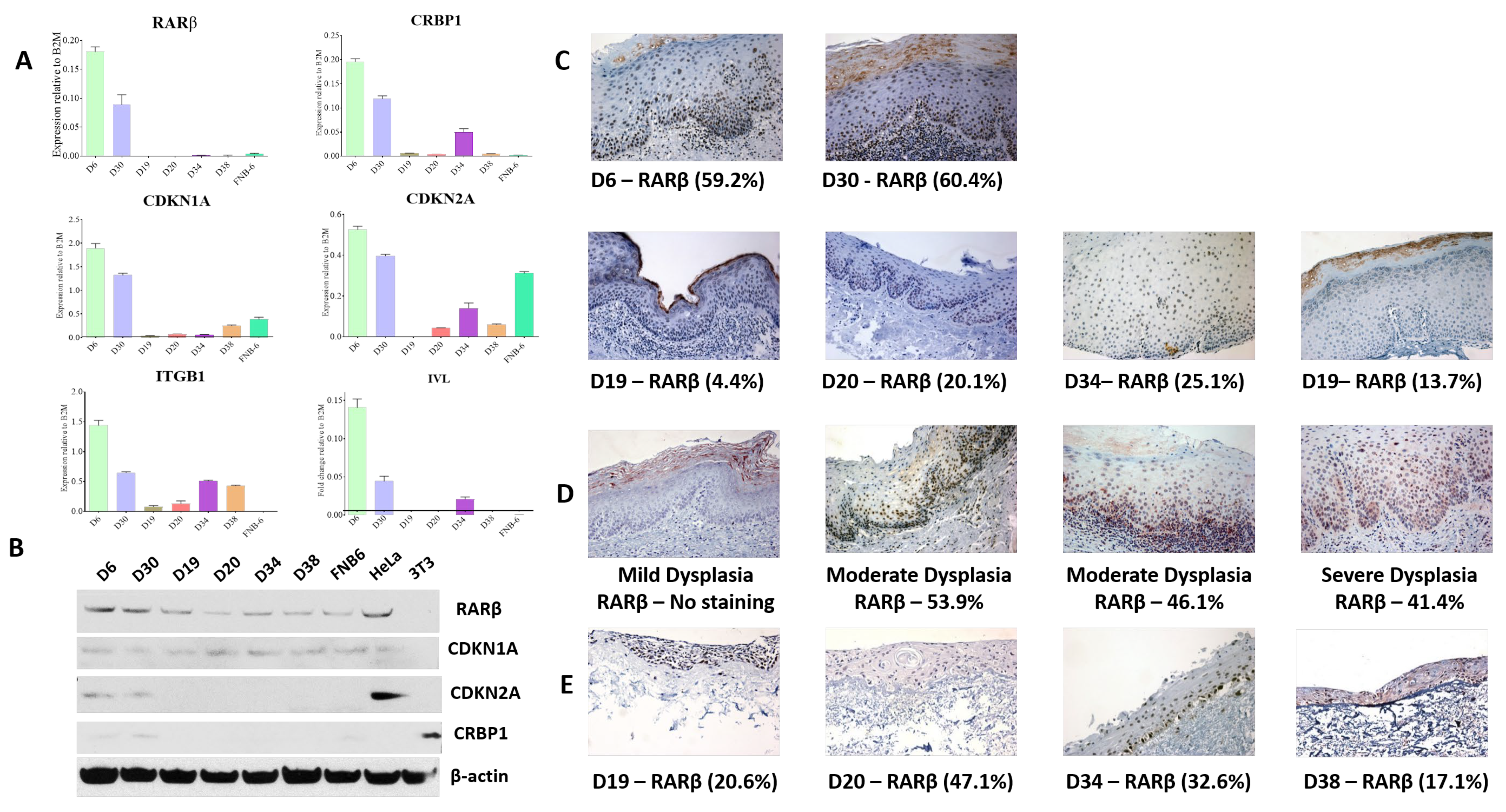Cancers 13 04064 g001