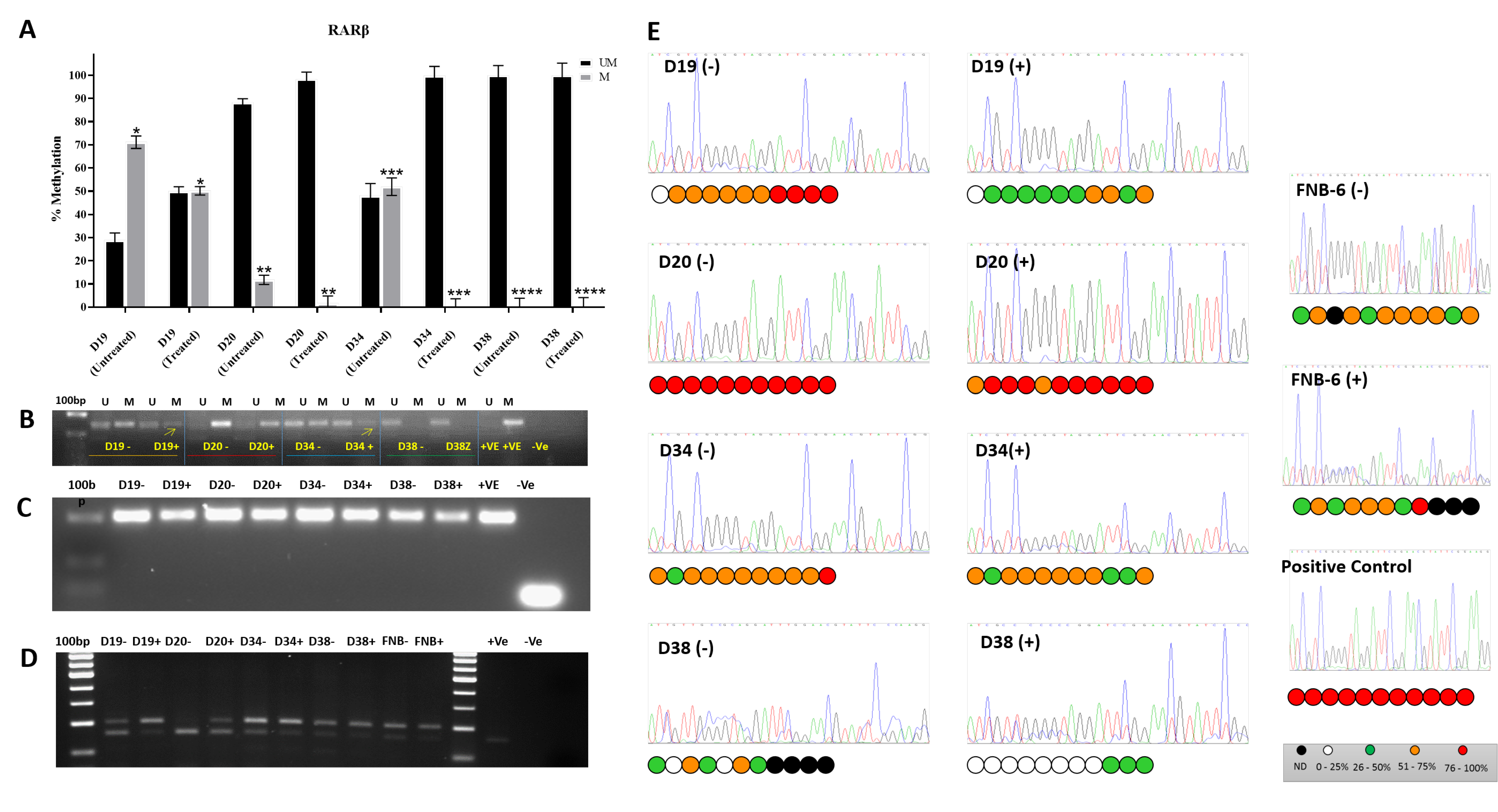Cancers 13 04064 g002