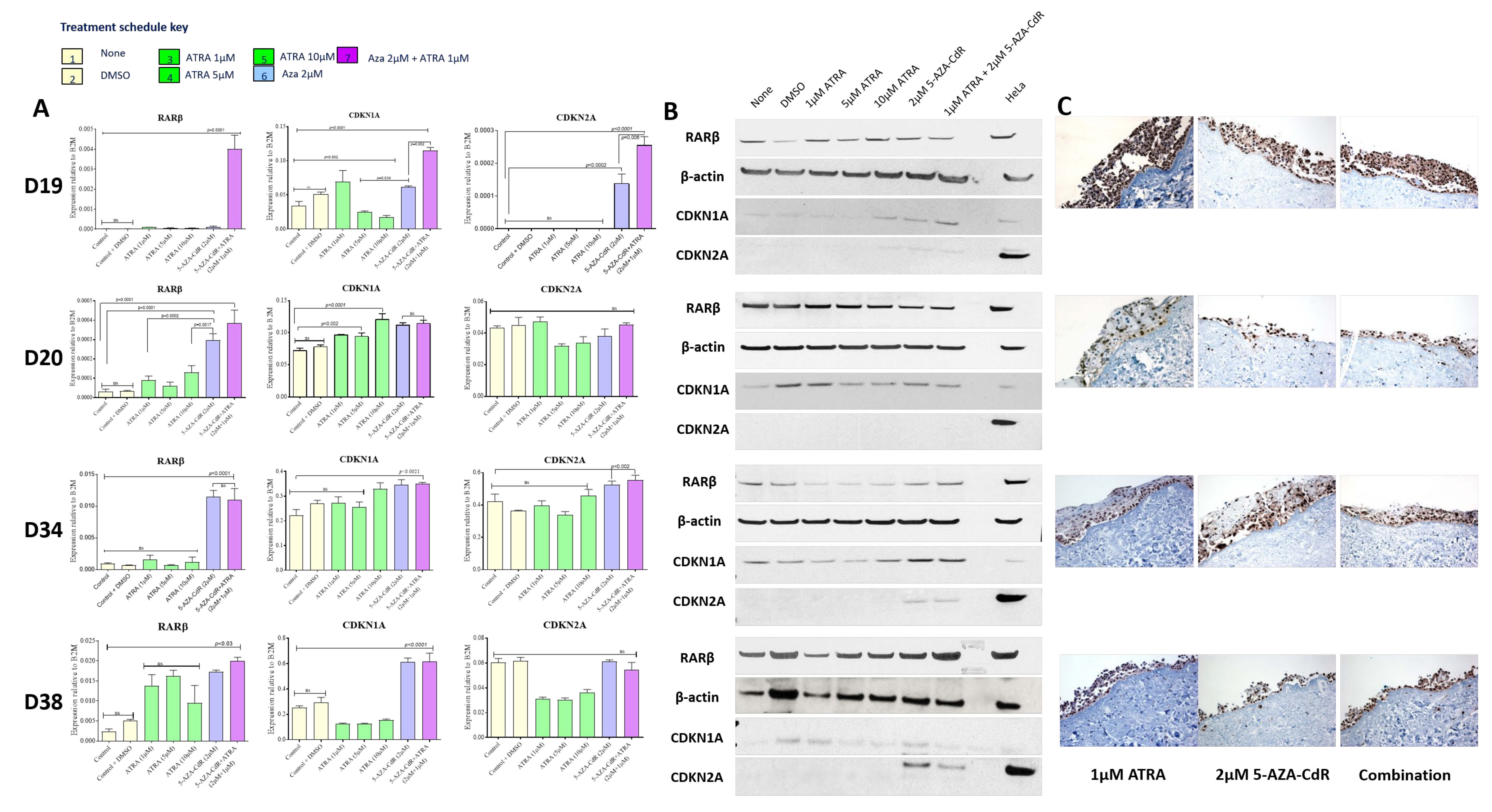 Cancers 13 04064 g003
