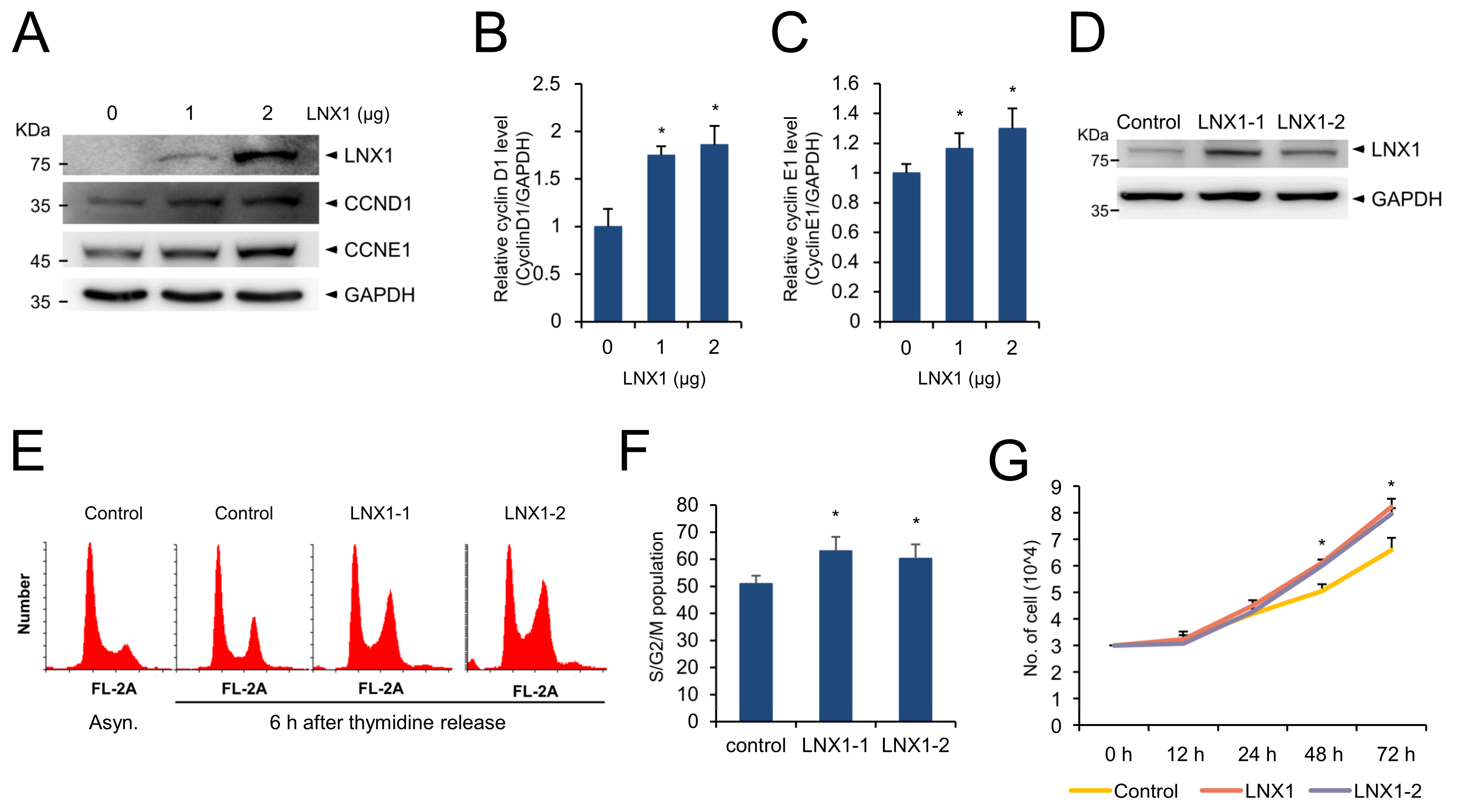 Cancers 13 04066 g005 Cancers 13 04066 g005