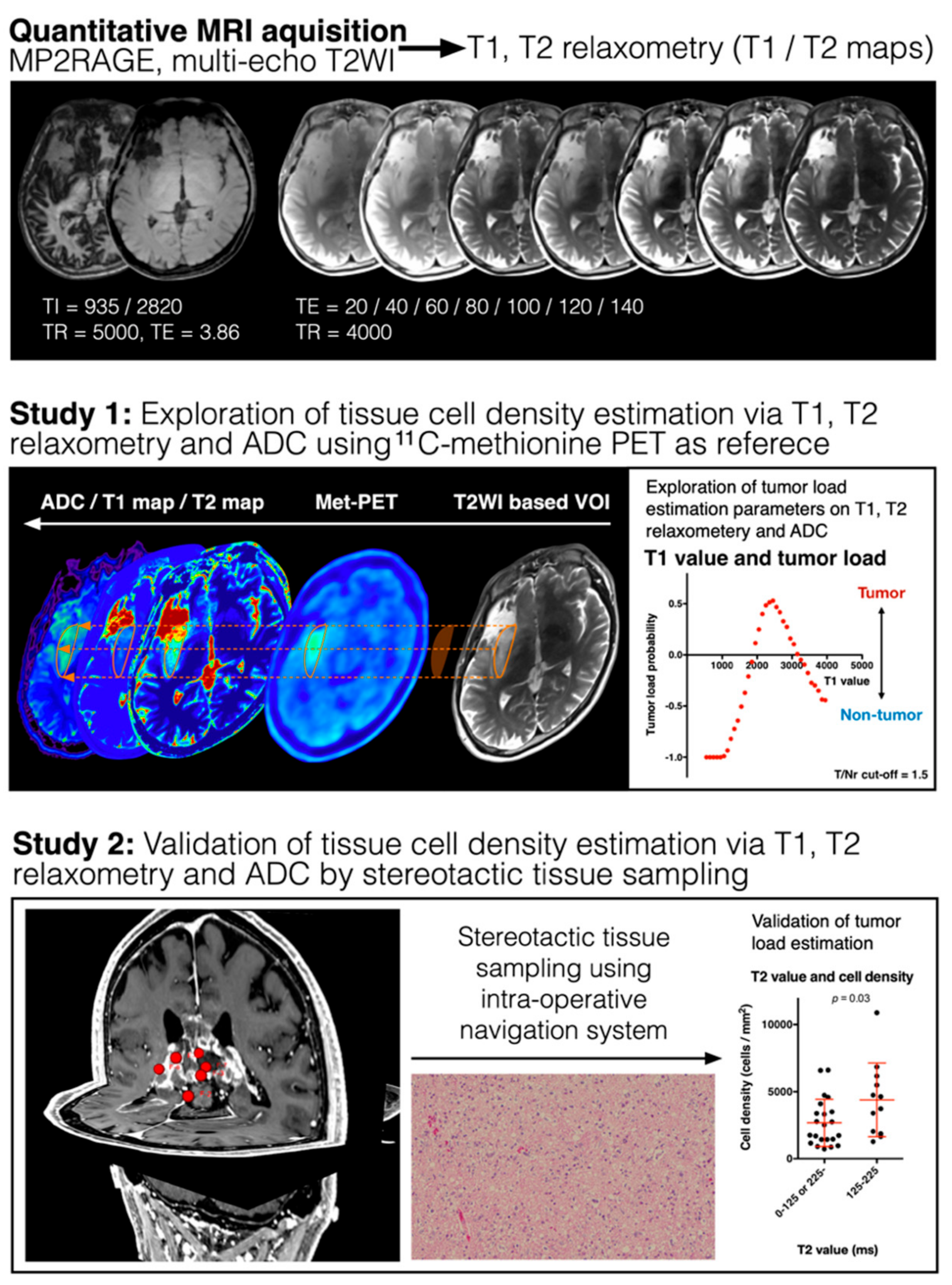 Cancers 13 04067 g001 Cancers 13 04067 g001