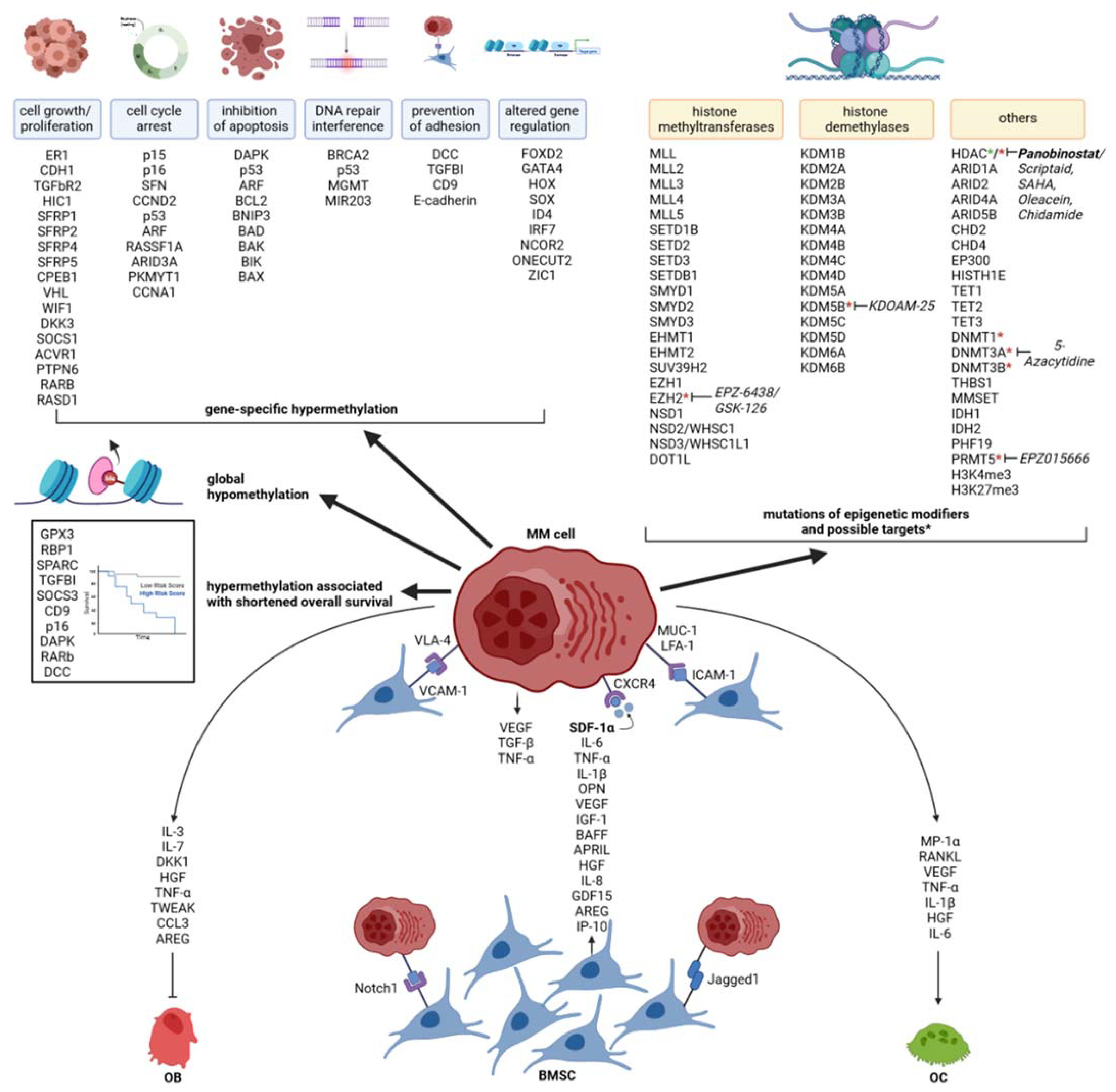 Cancers 13 04069 g001