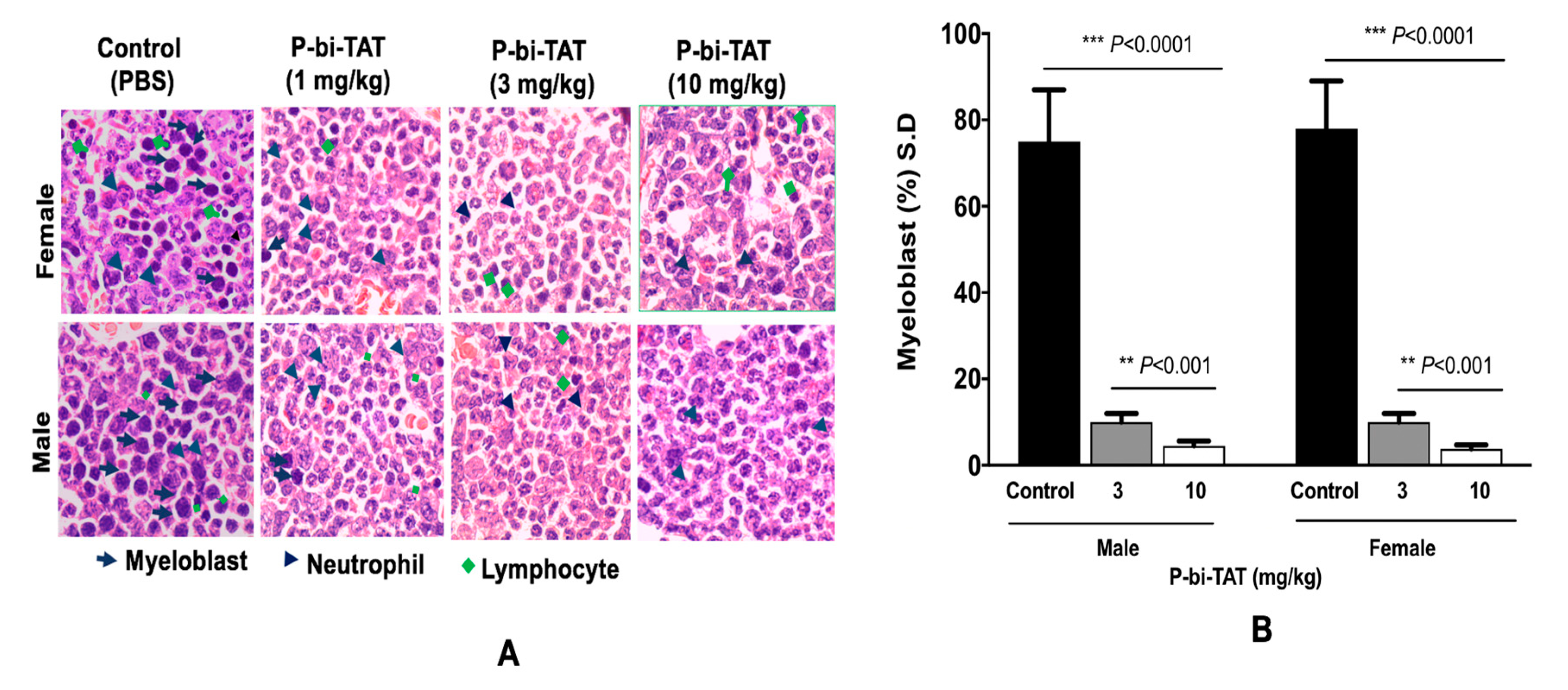 Cancers 13 04070 g004 550