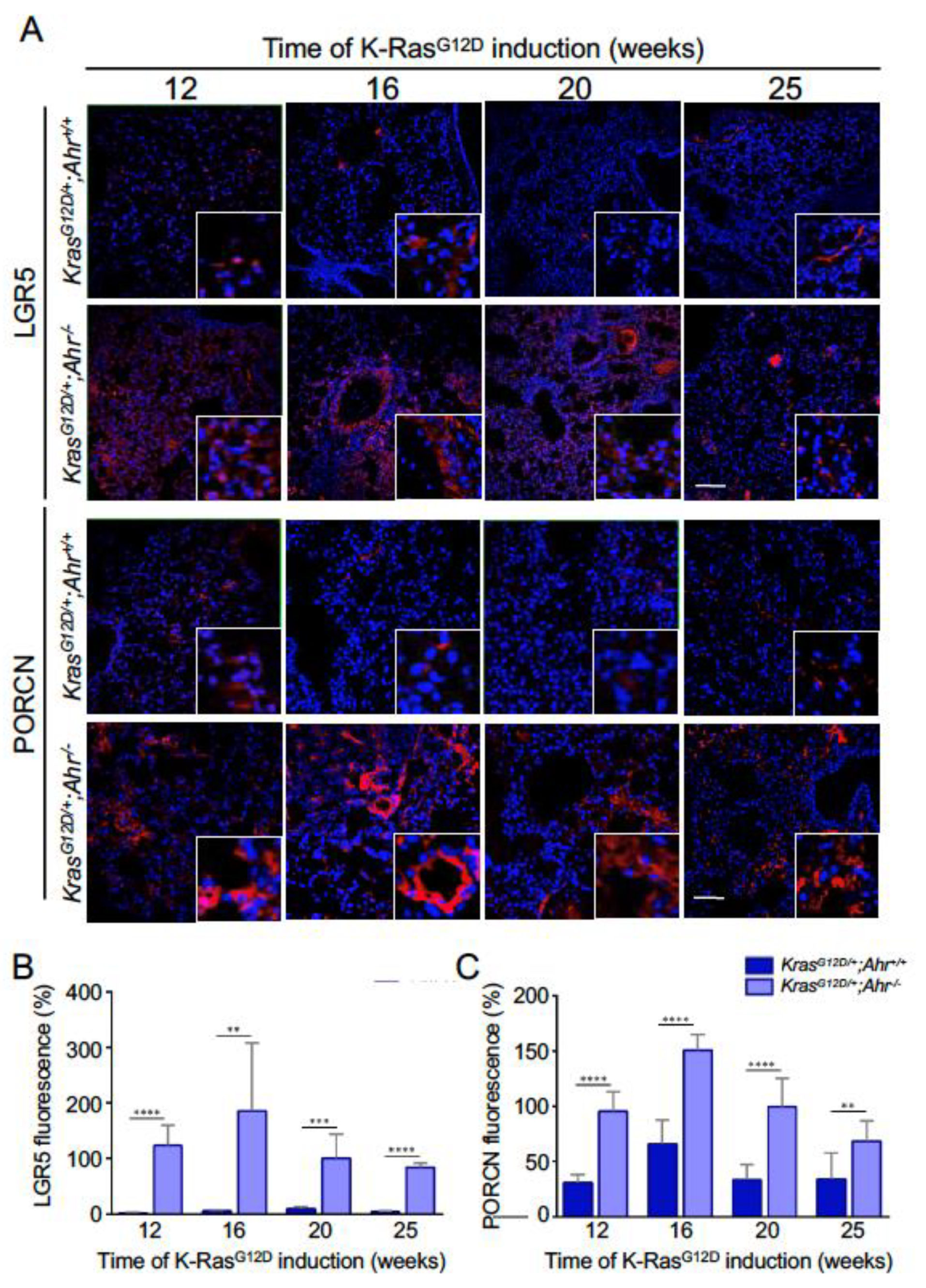 Cancers 13 04071 g005