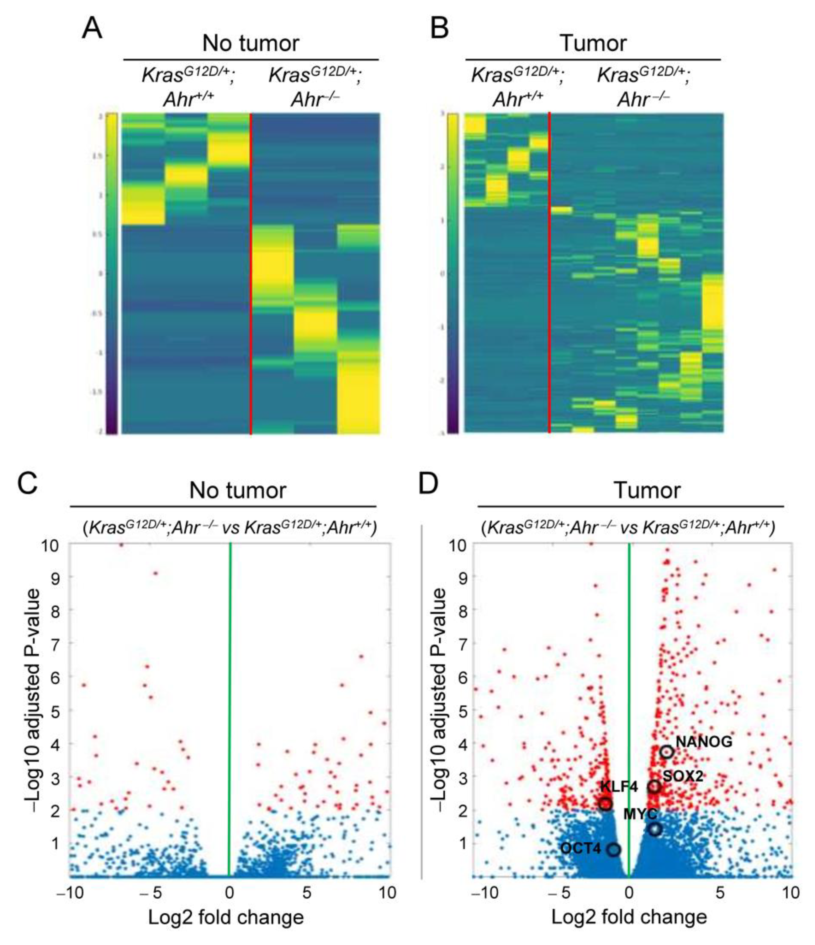 Cancers 13 04071 g006