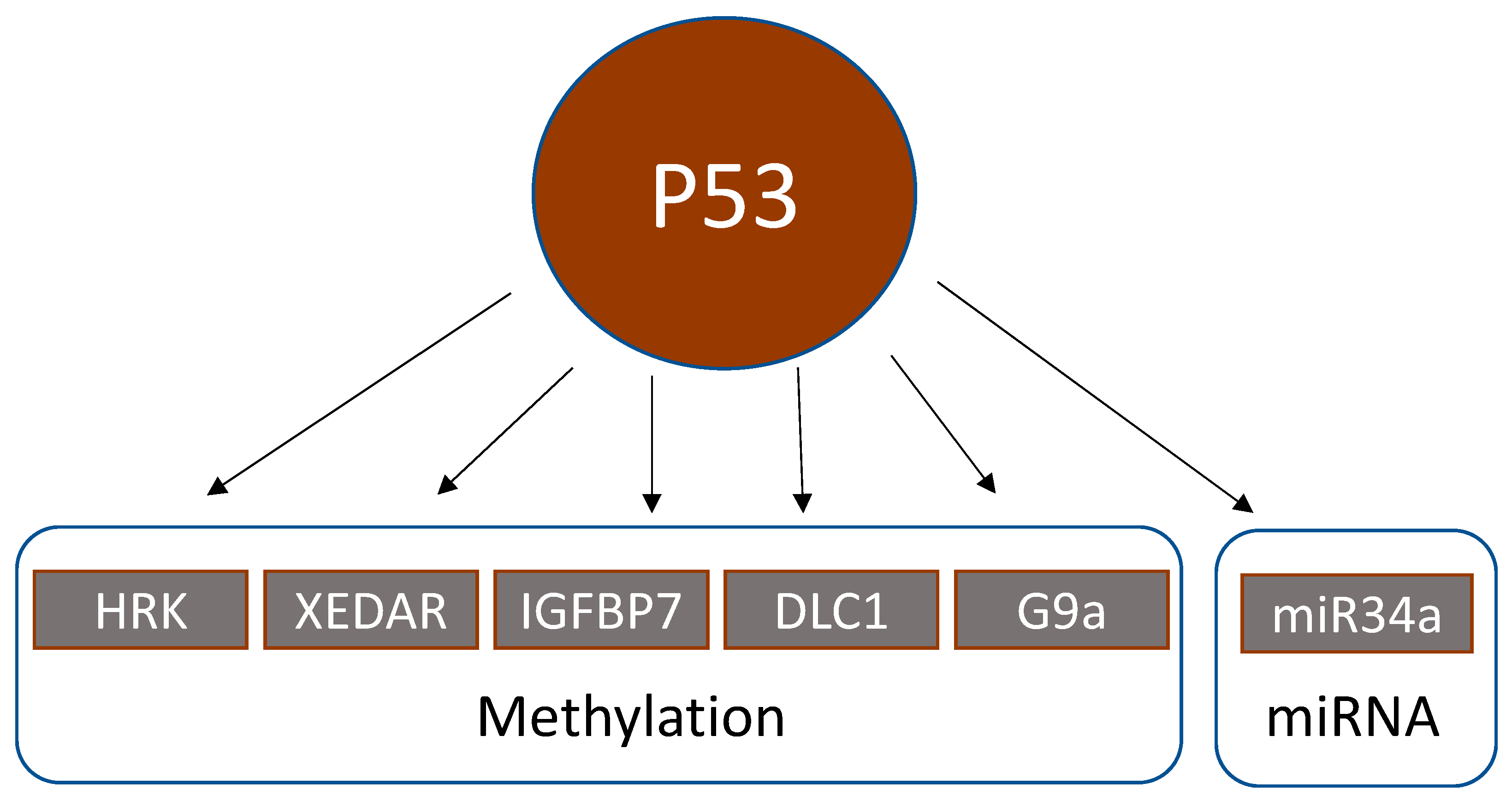 Cancers 13 04072 g002 Cancers 13 04072 g002