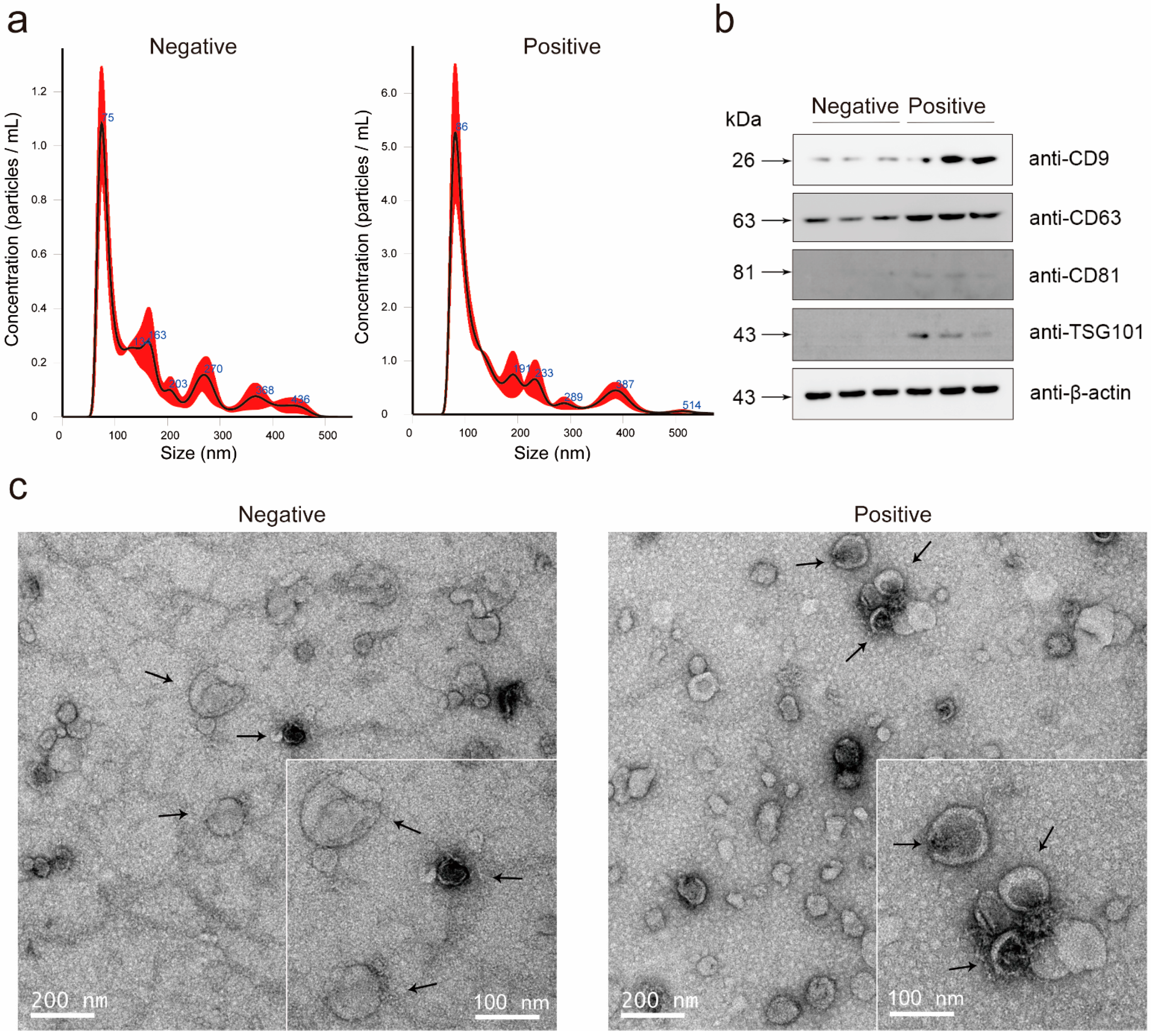 Cancers 13 04075 g001 550