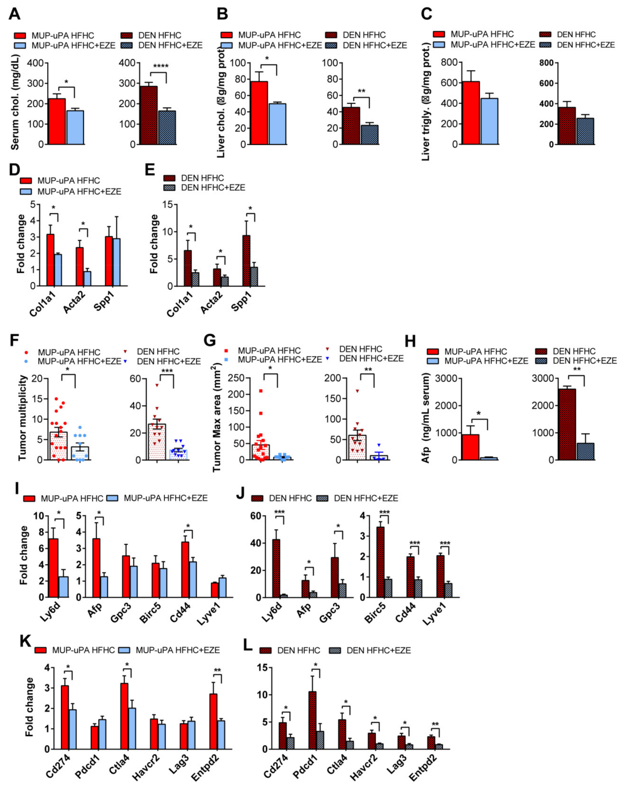 Cancers 13 04091 g006