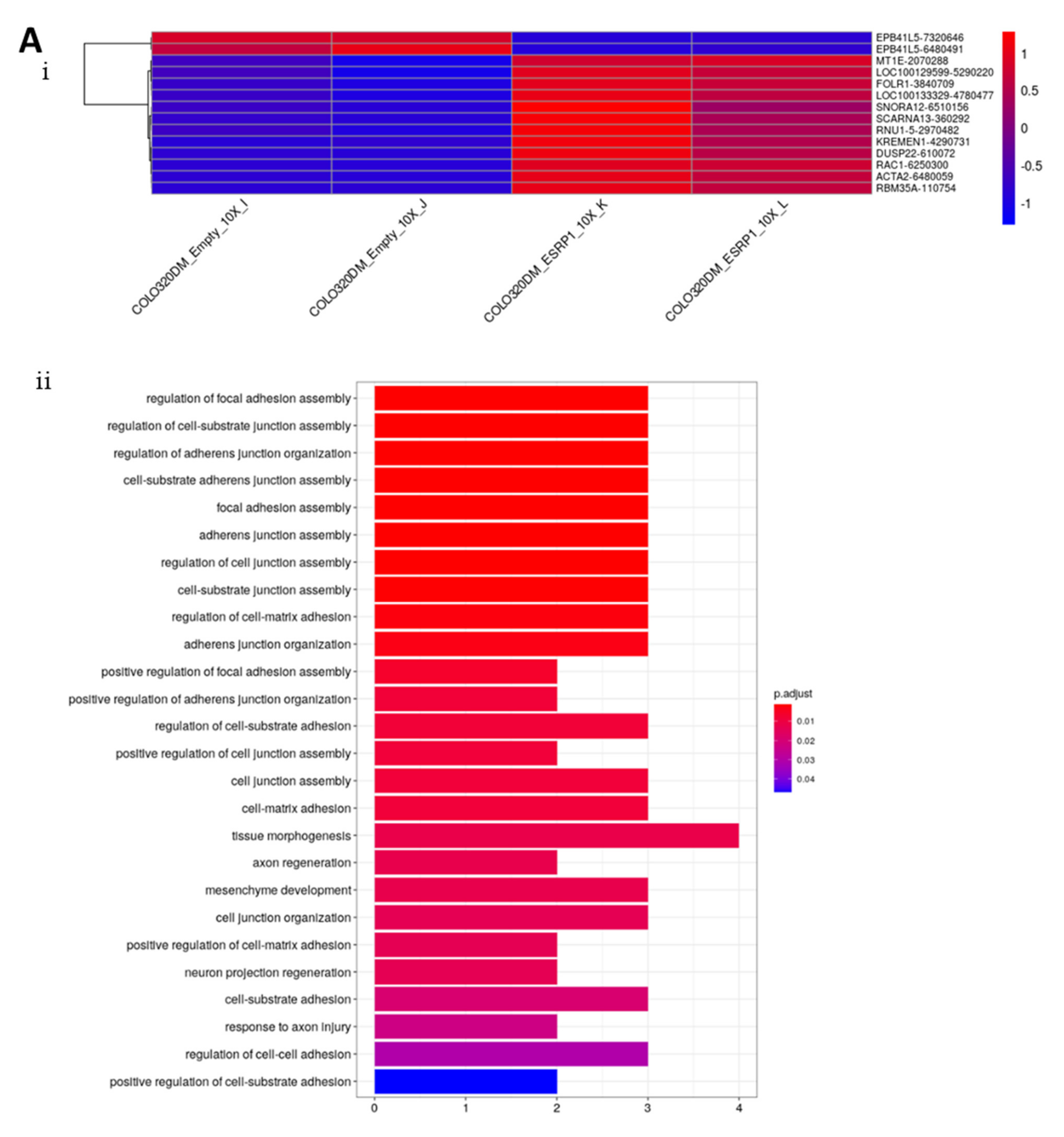 Cancers 13 04092 g001a
