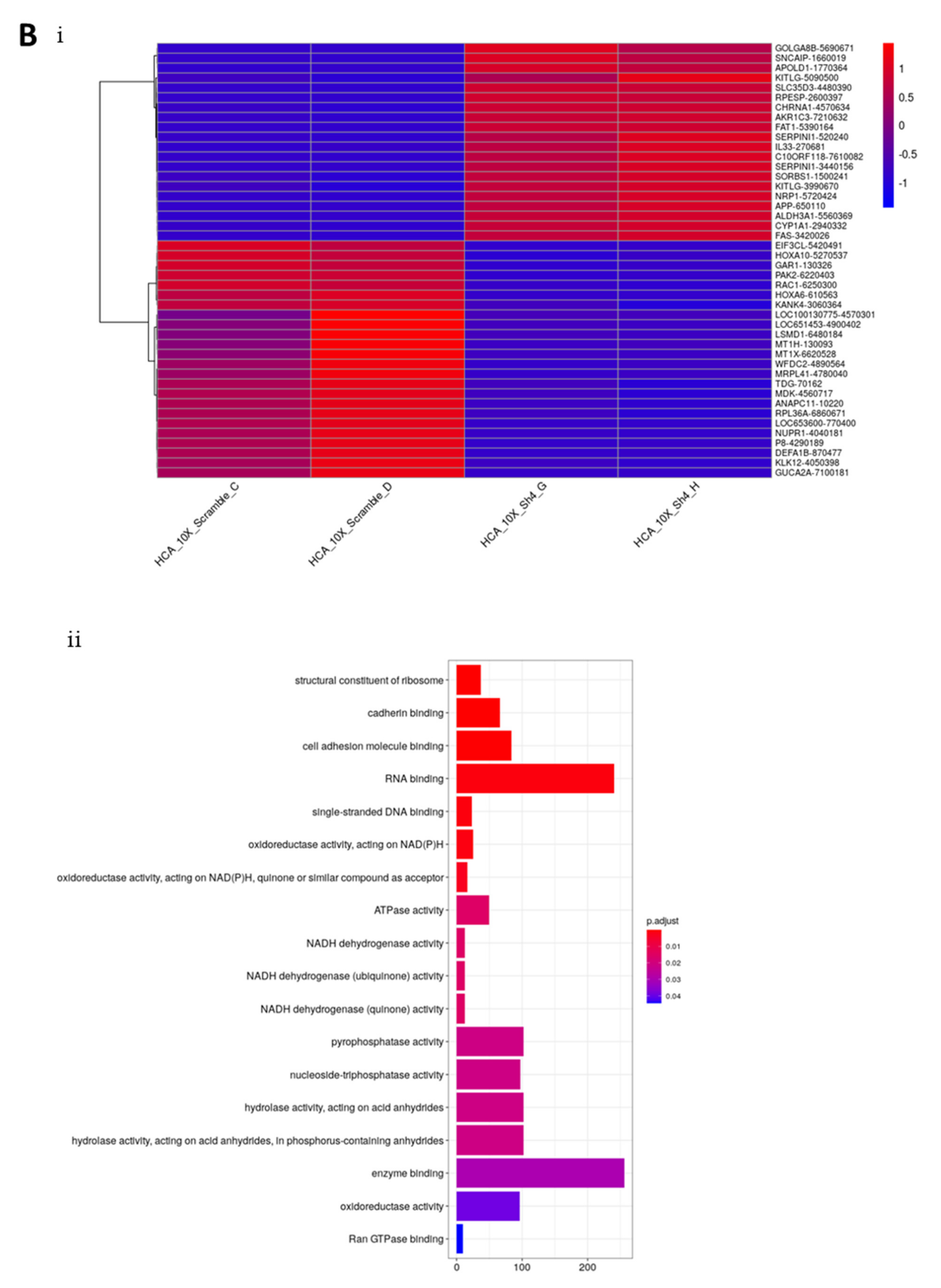 Cancers 13 04092 g001c
