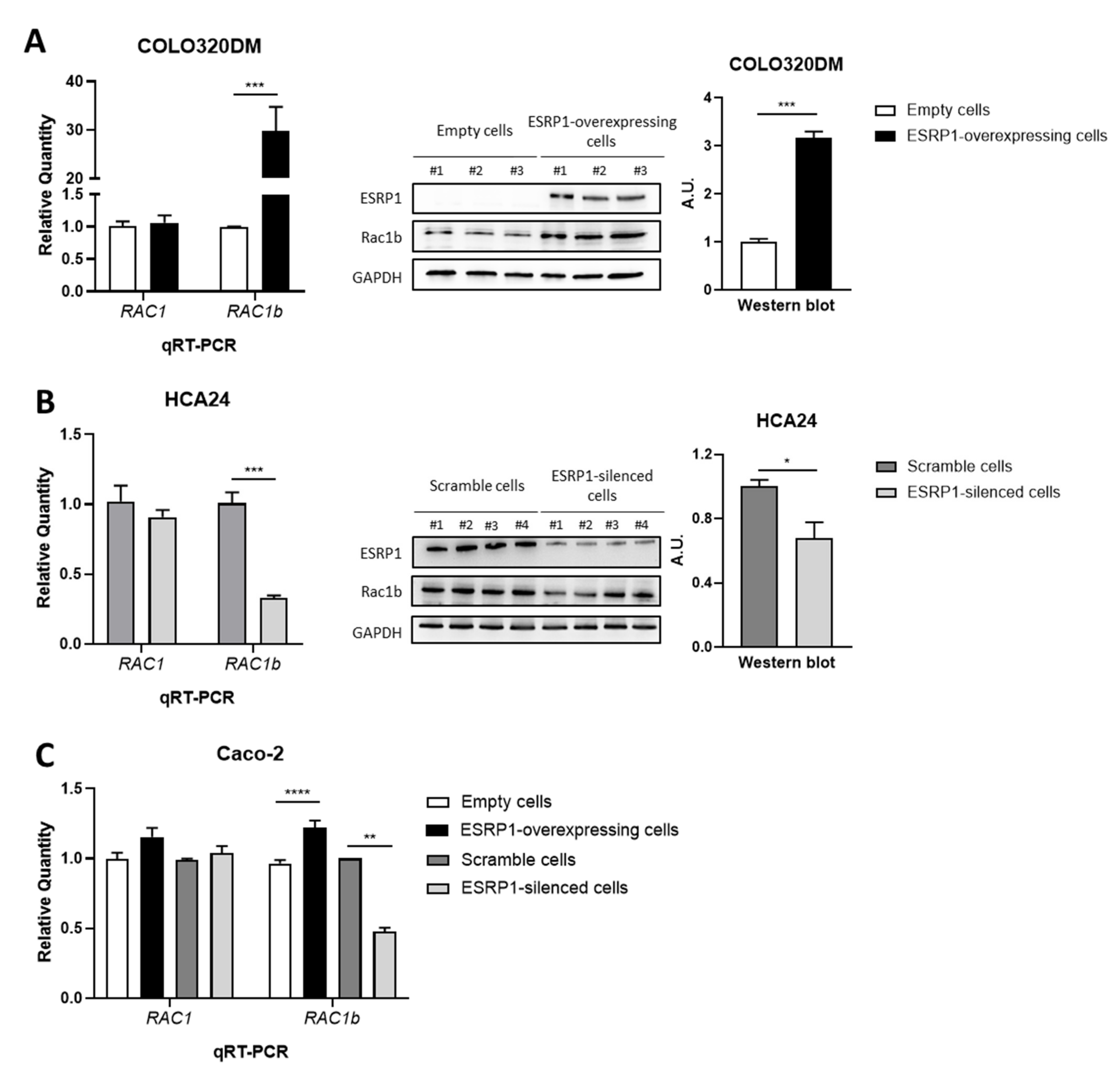 Cancers 13 04092 g004
