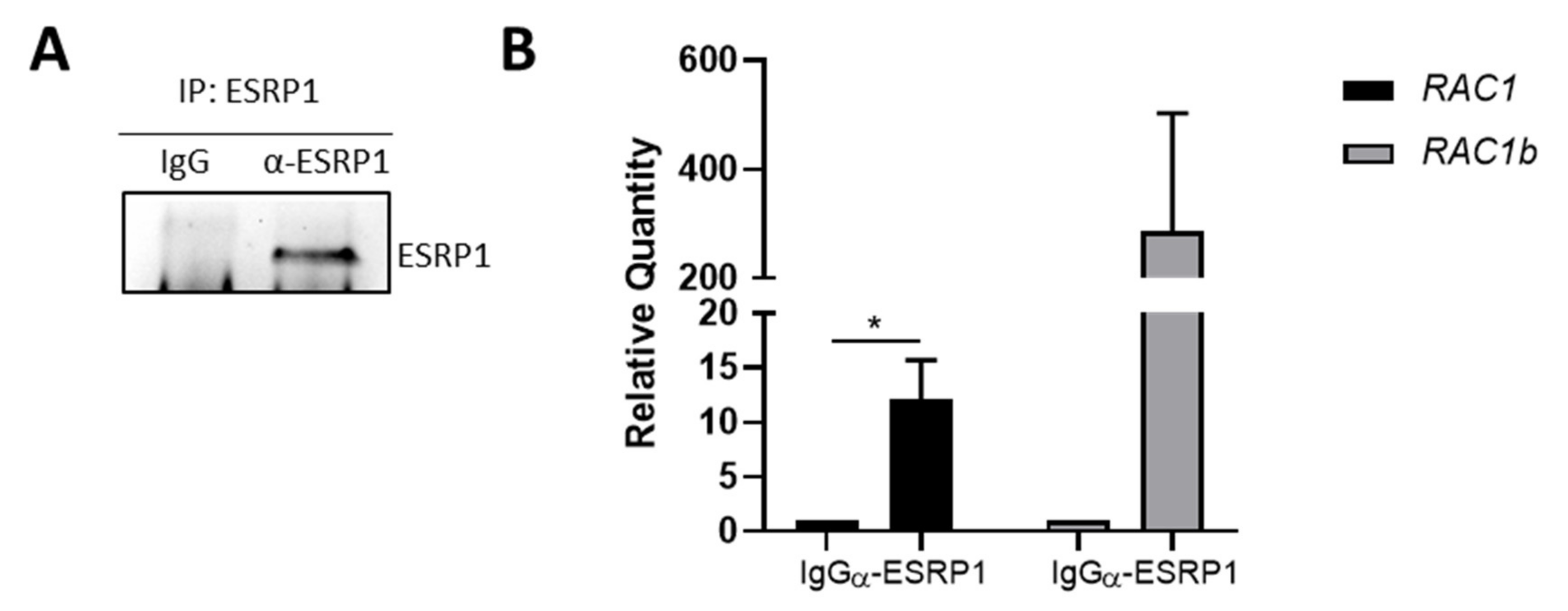Cancers 13 04092 g005