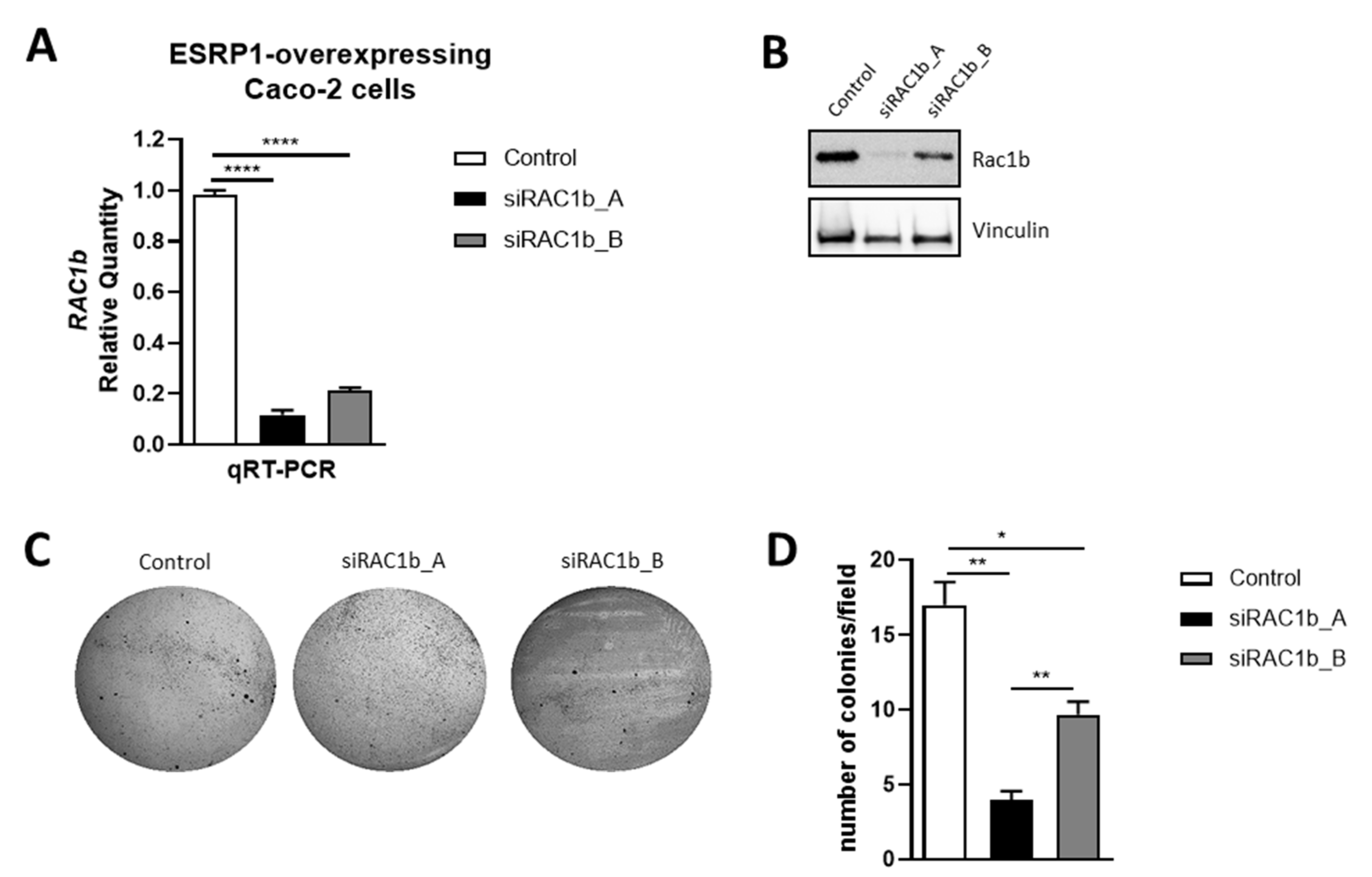 Cancers 13 04092 g006
