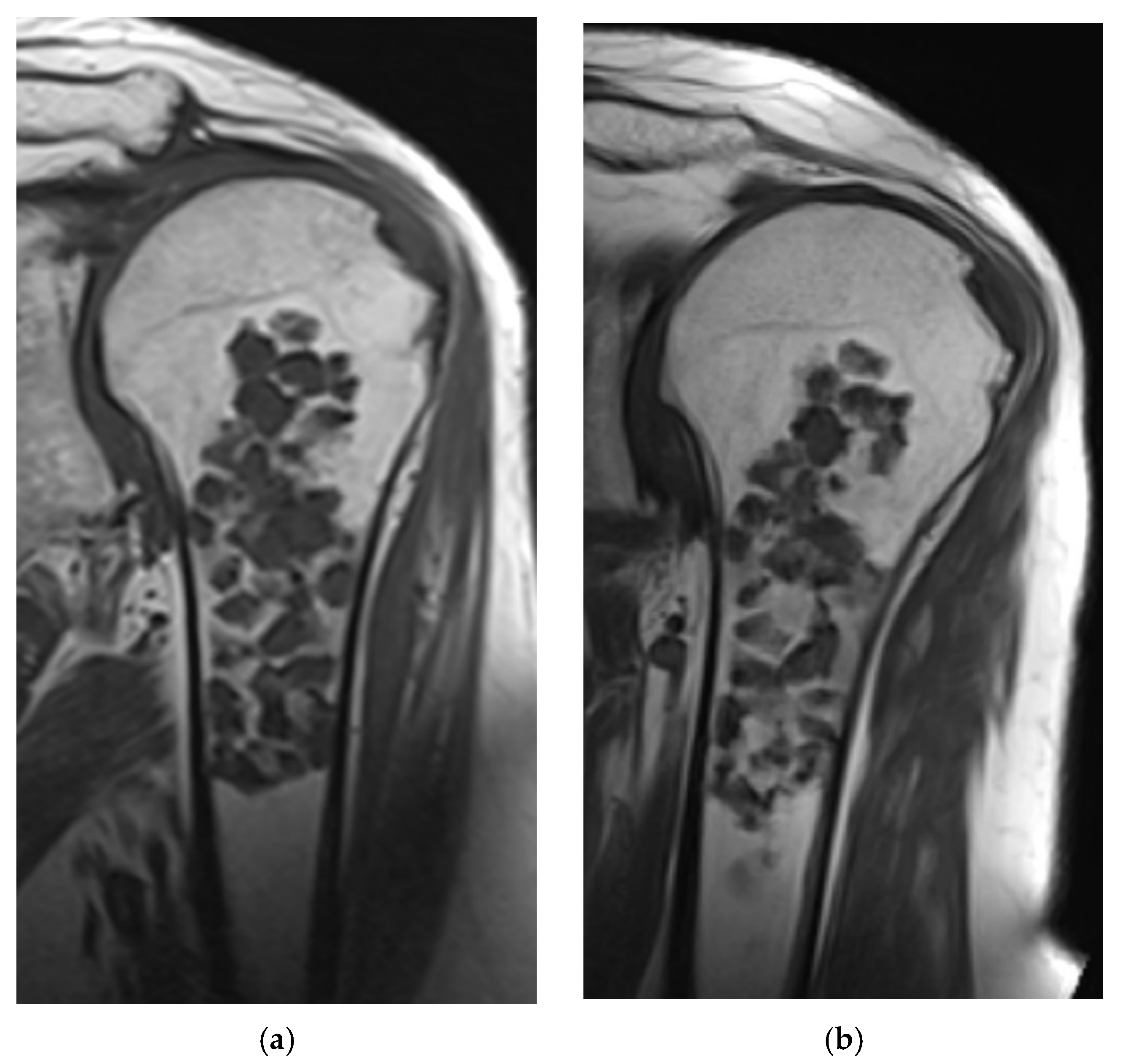 Cancers 13 04093 g003 550