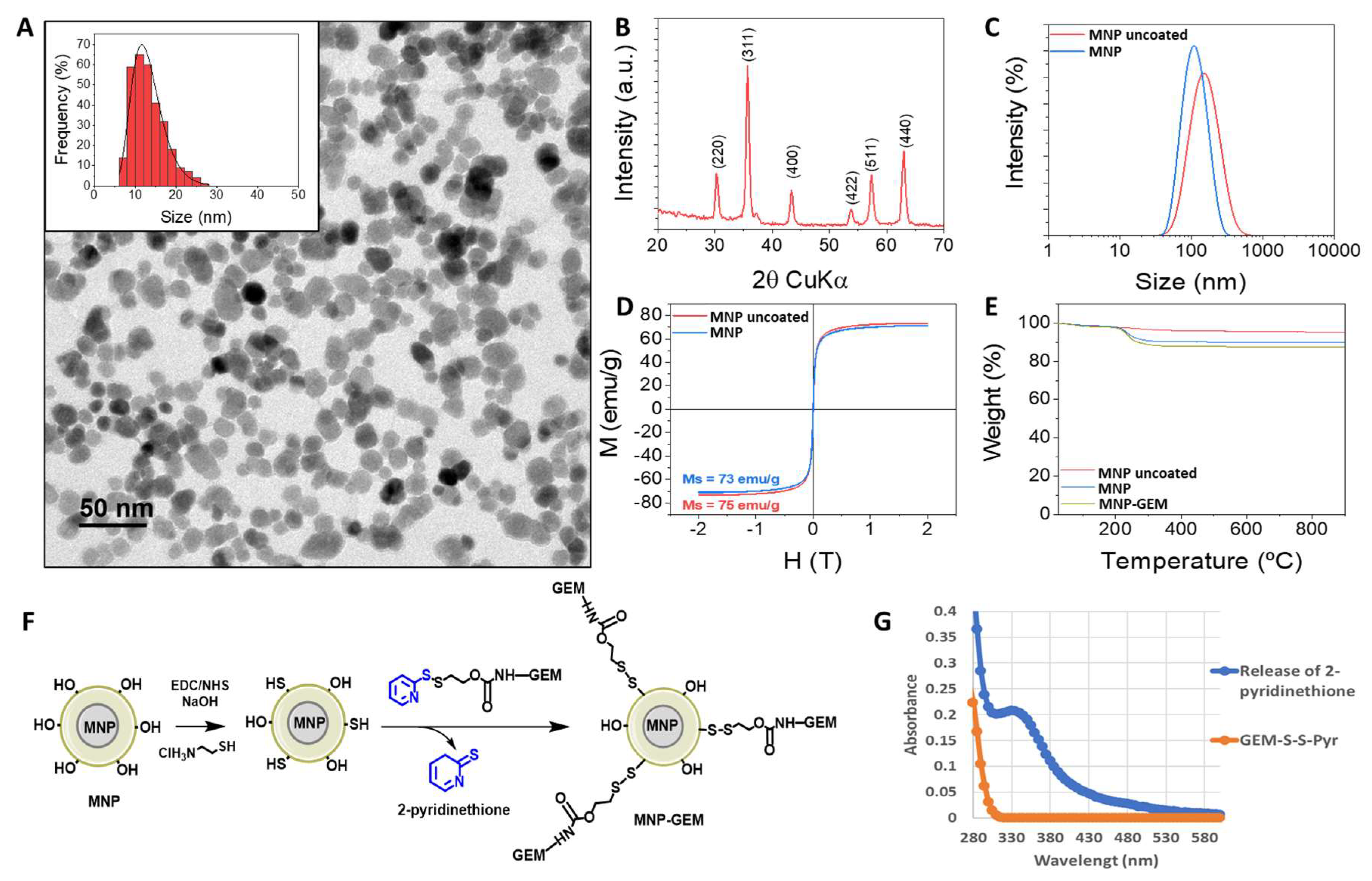 Cancers 13 04095 g001