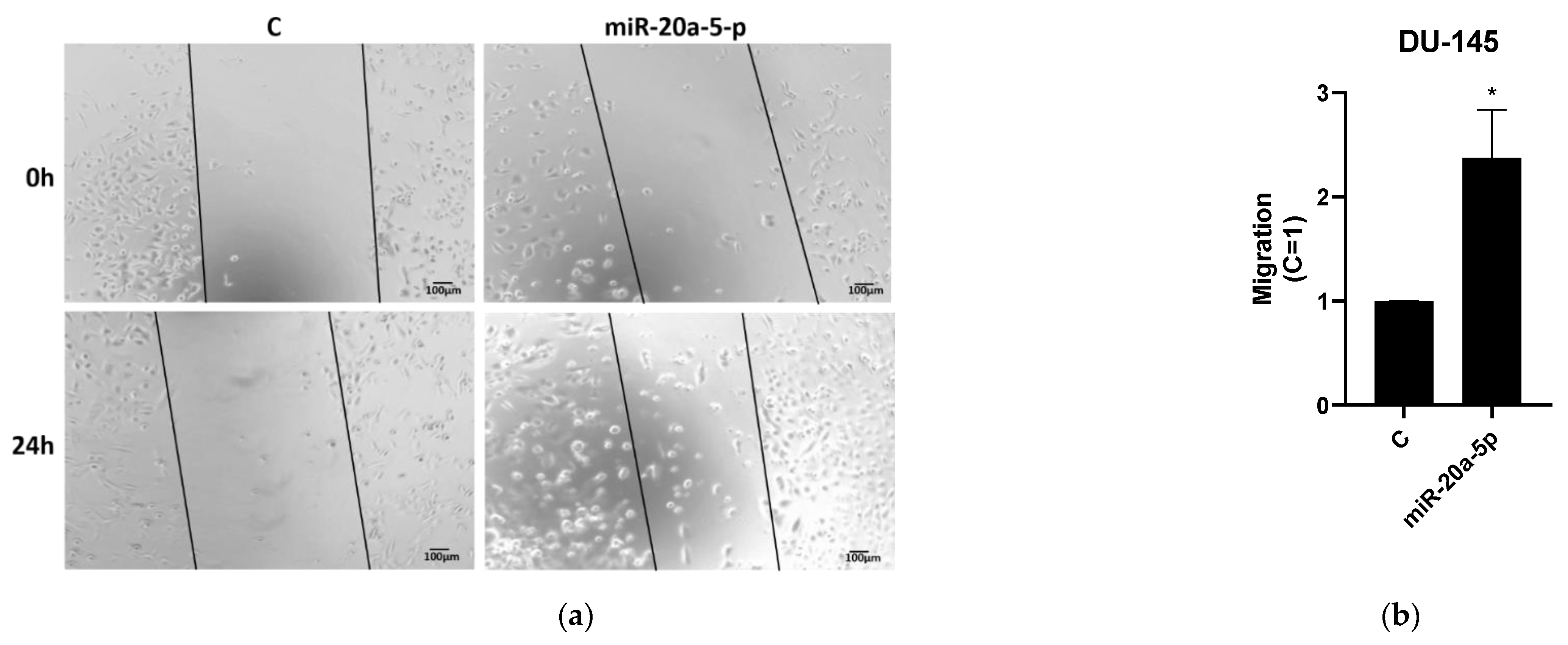 Cancers 13 04096 g003a