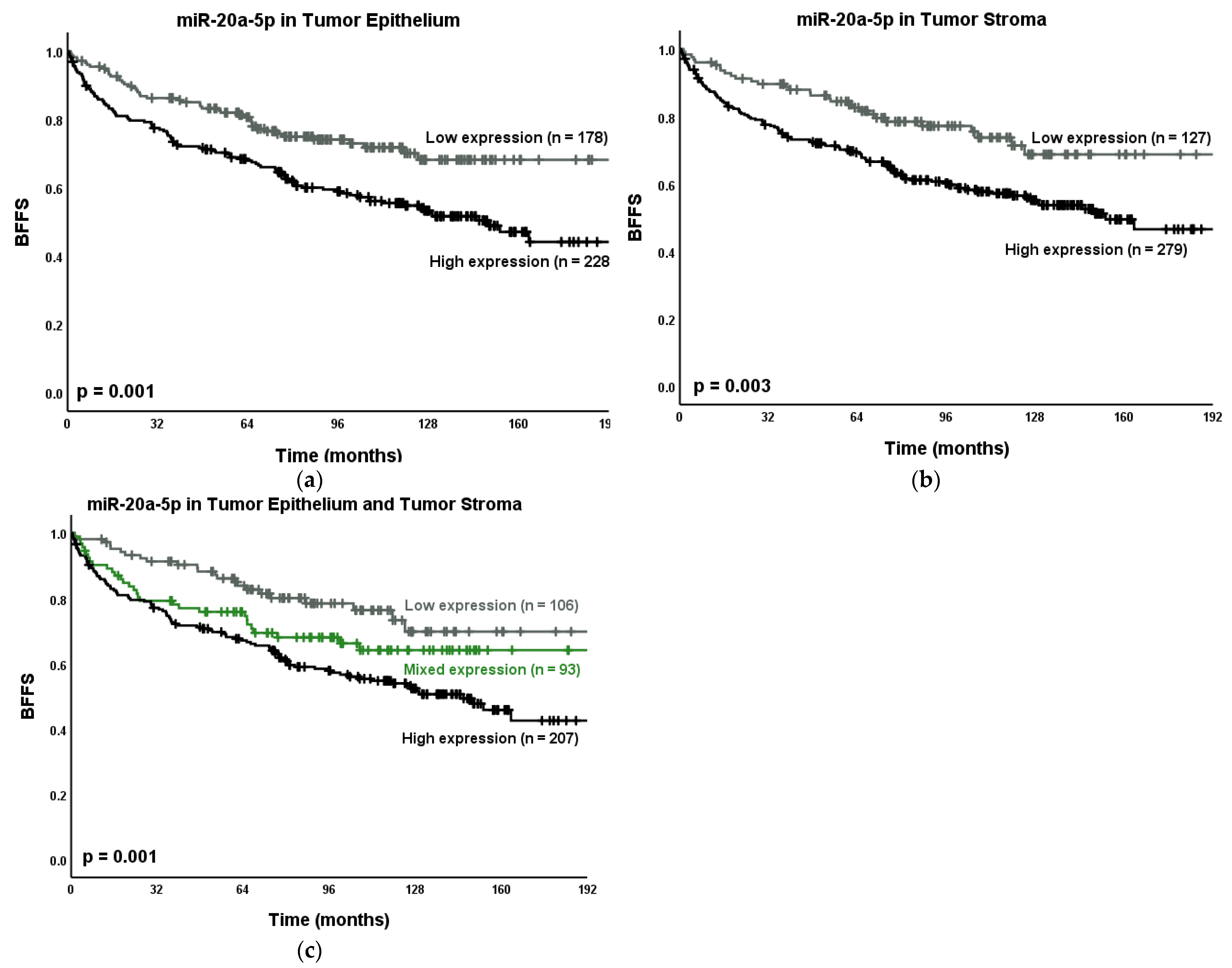 Cancers 13 04096 g005
