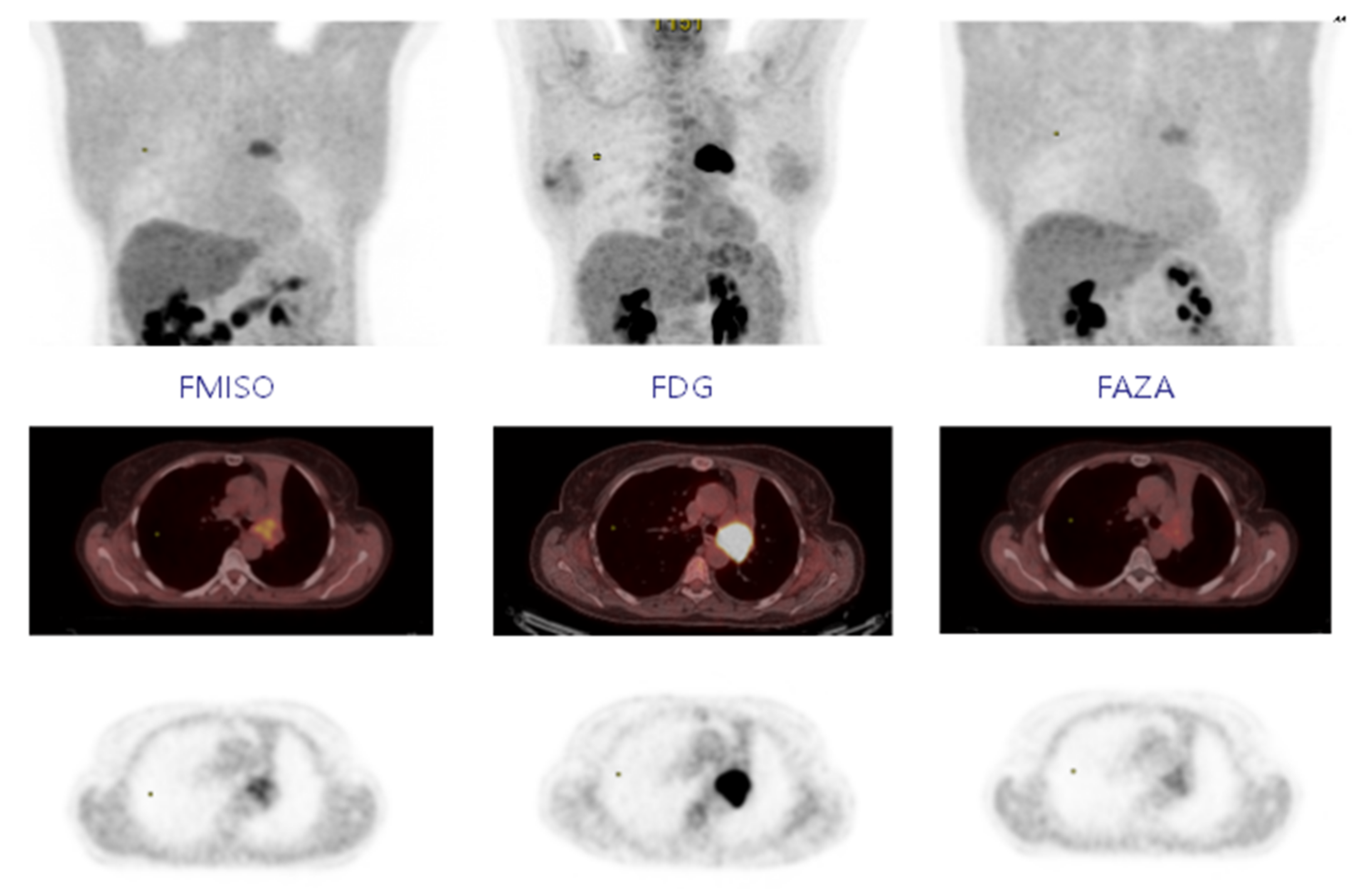 Cancers 13 04101 g001