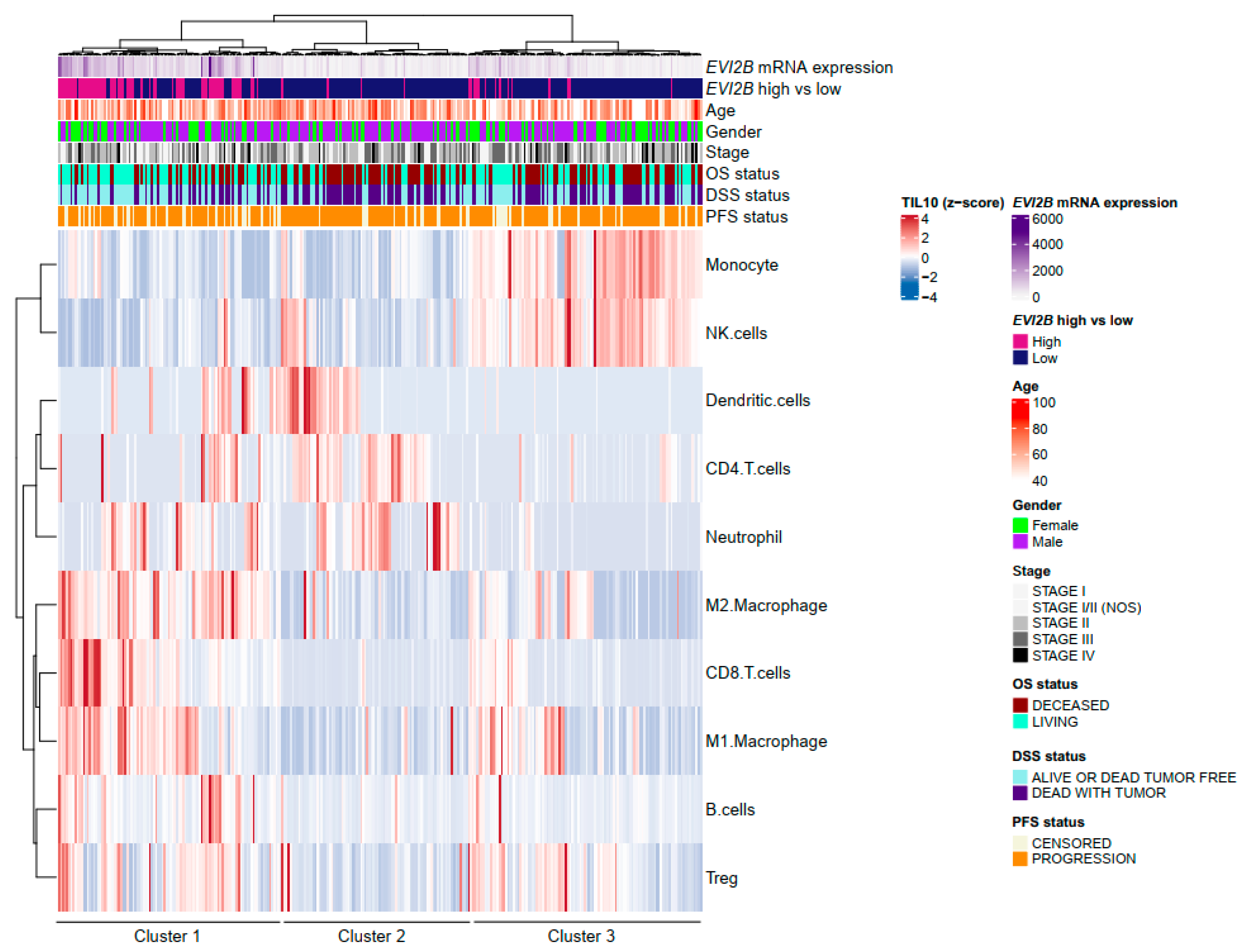Cancers 13 04110 g003 Cancers 13 04110 g003