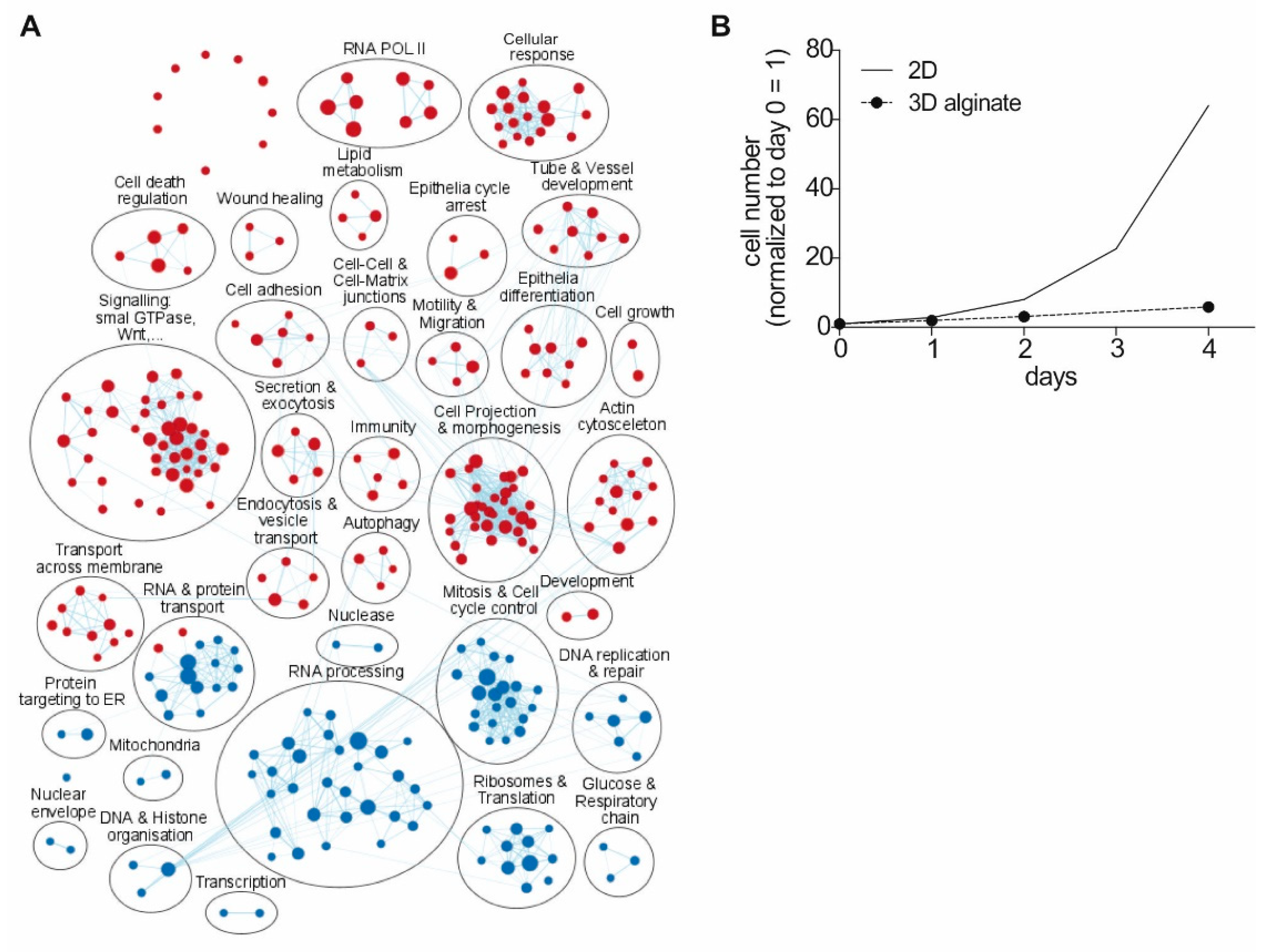 Cancers 13 04111 g003