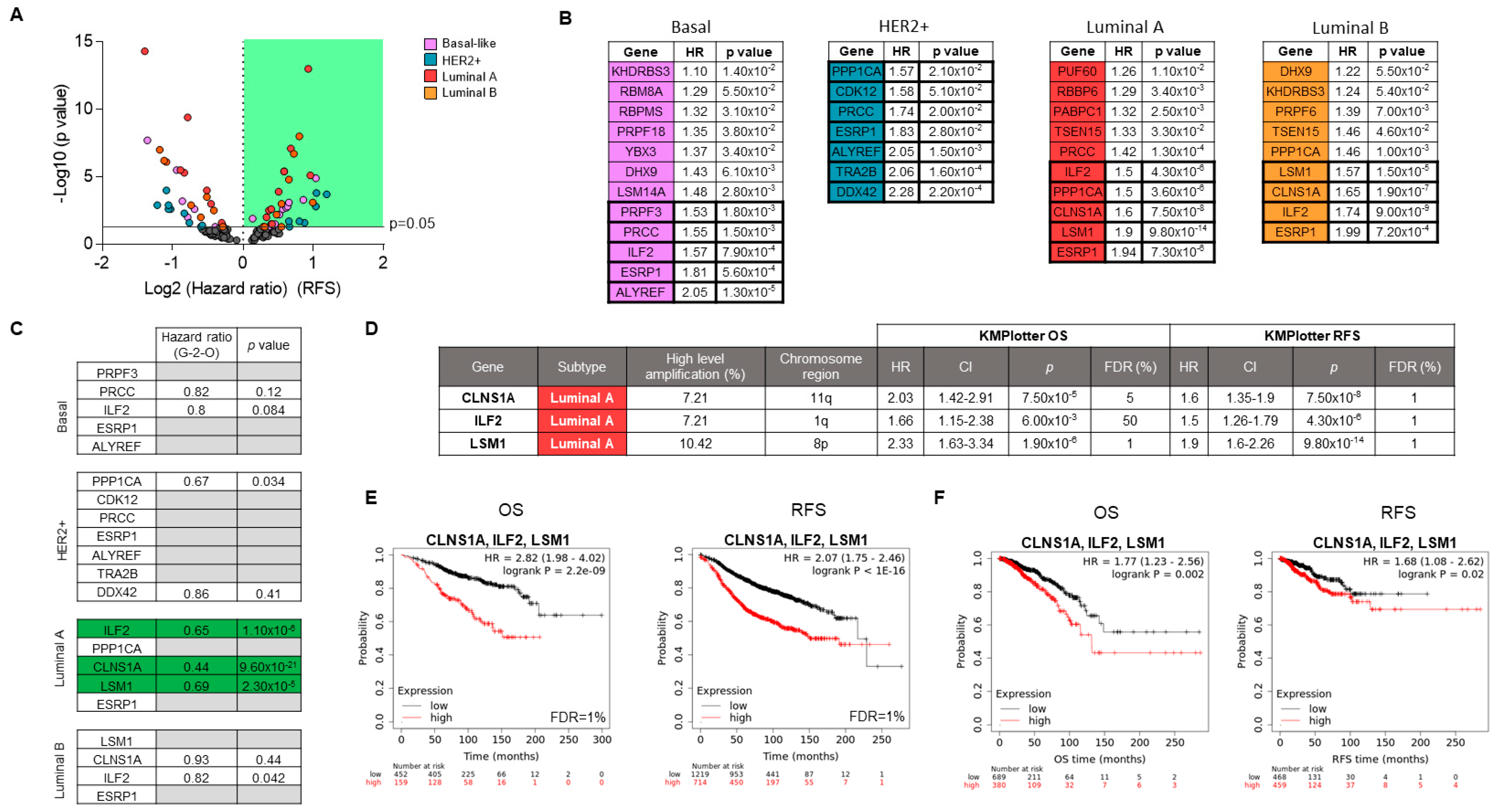 Cancers 13 04118 g004