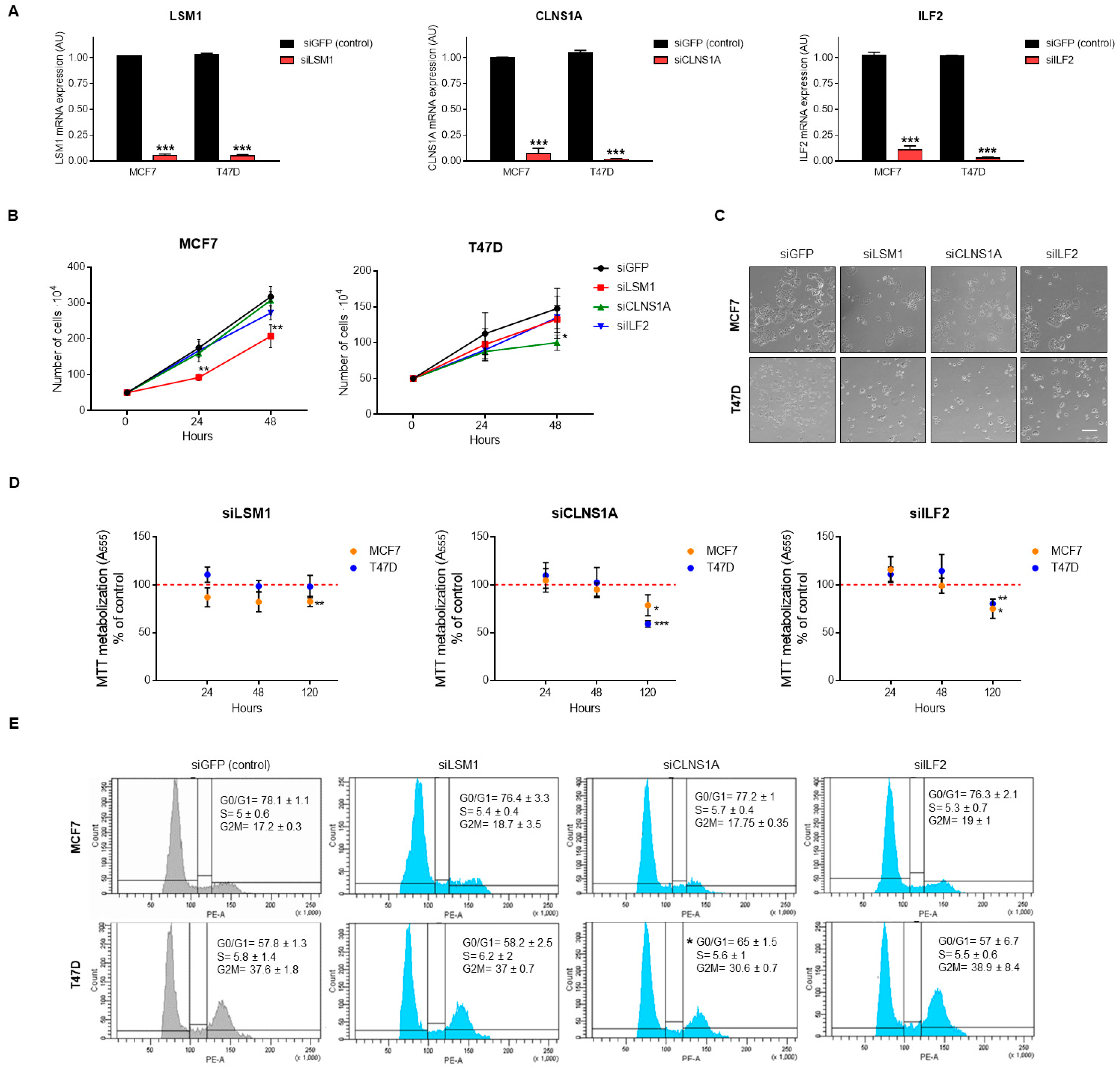 Cancers 13 04118 g005