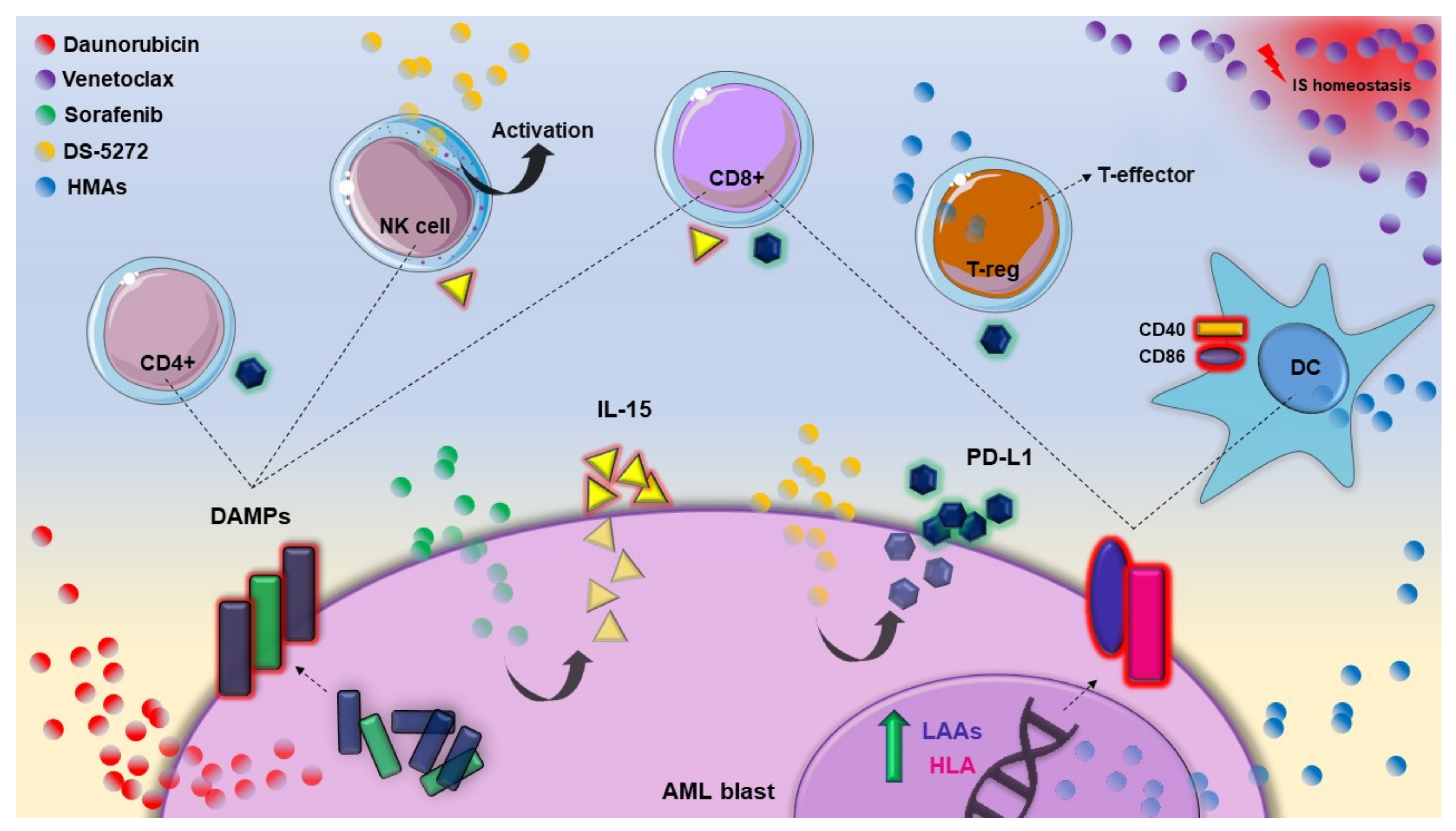 Cancers 13 04121 g001