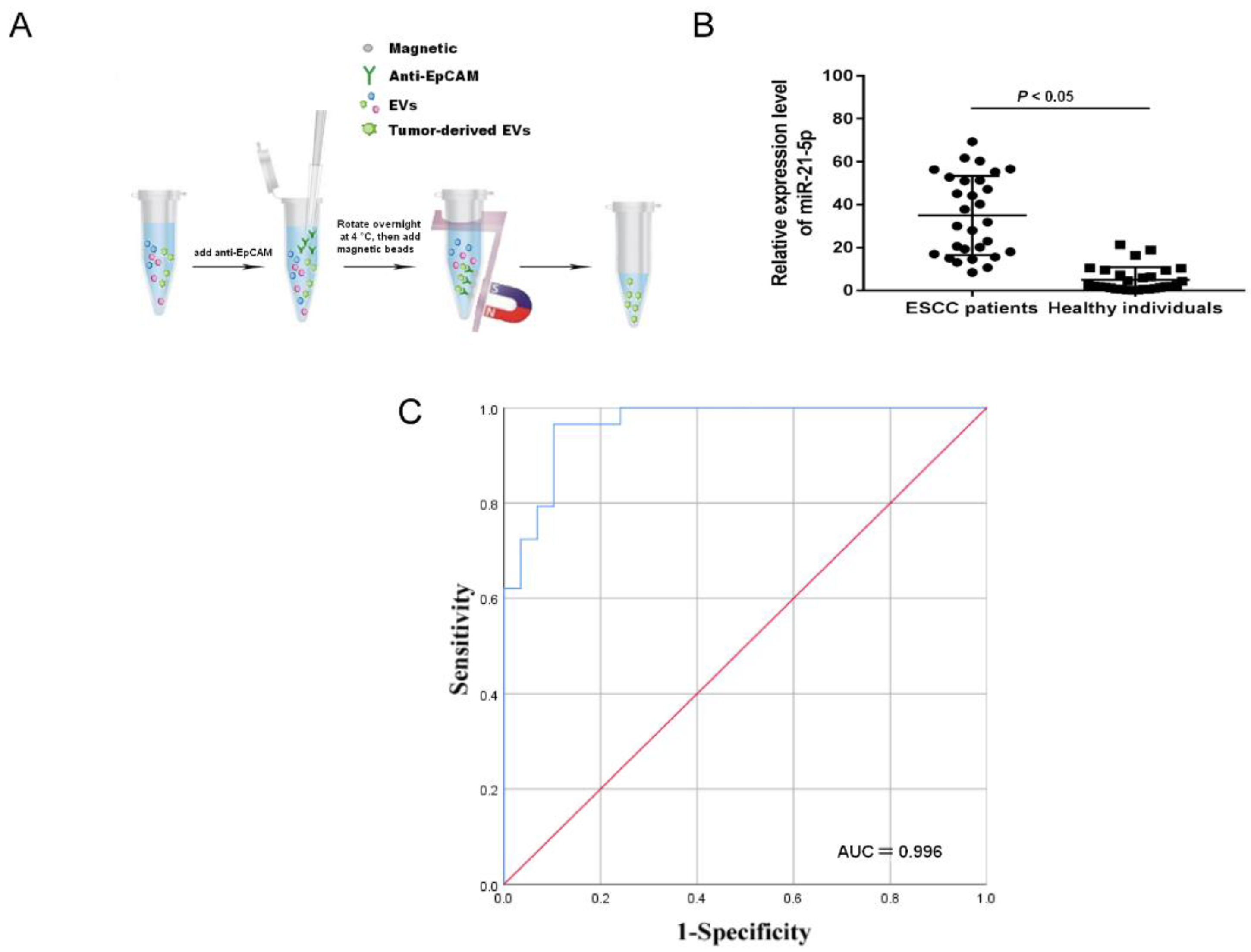Cancers 13 04122 g001 550