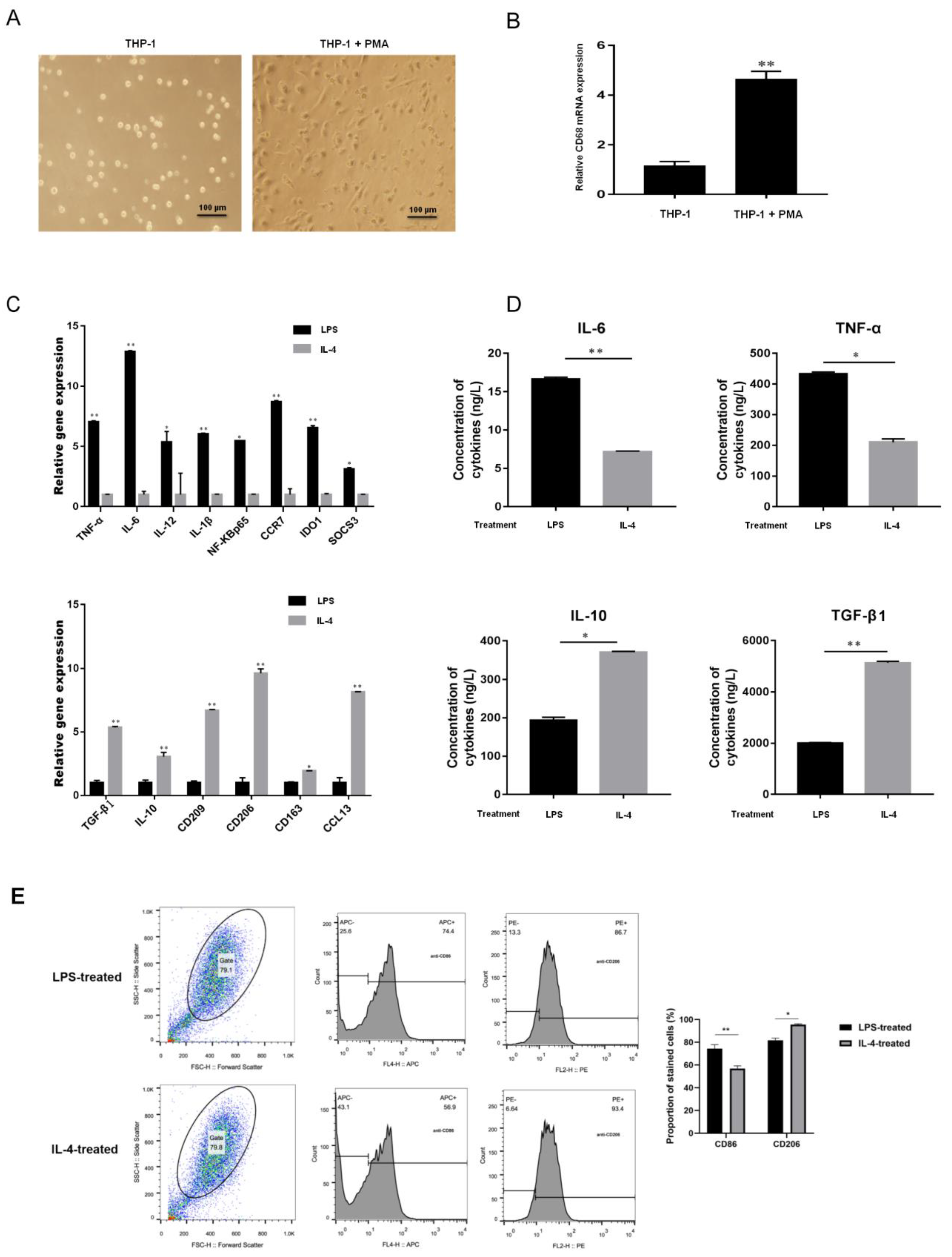Cancers 13 04122 g003 550