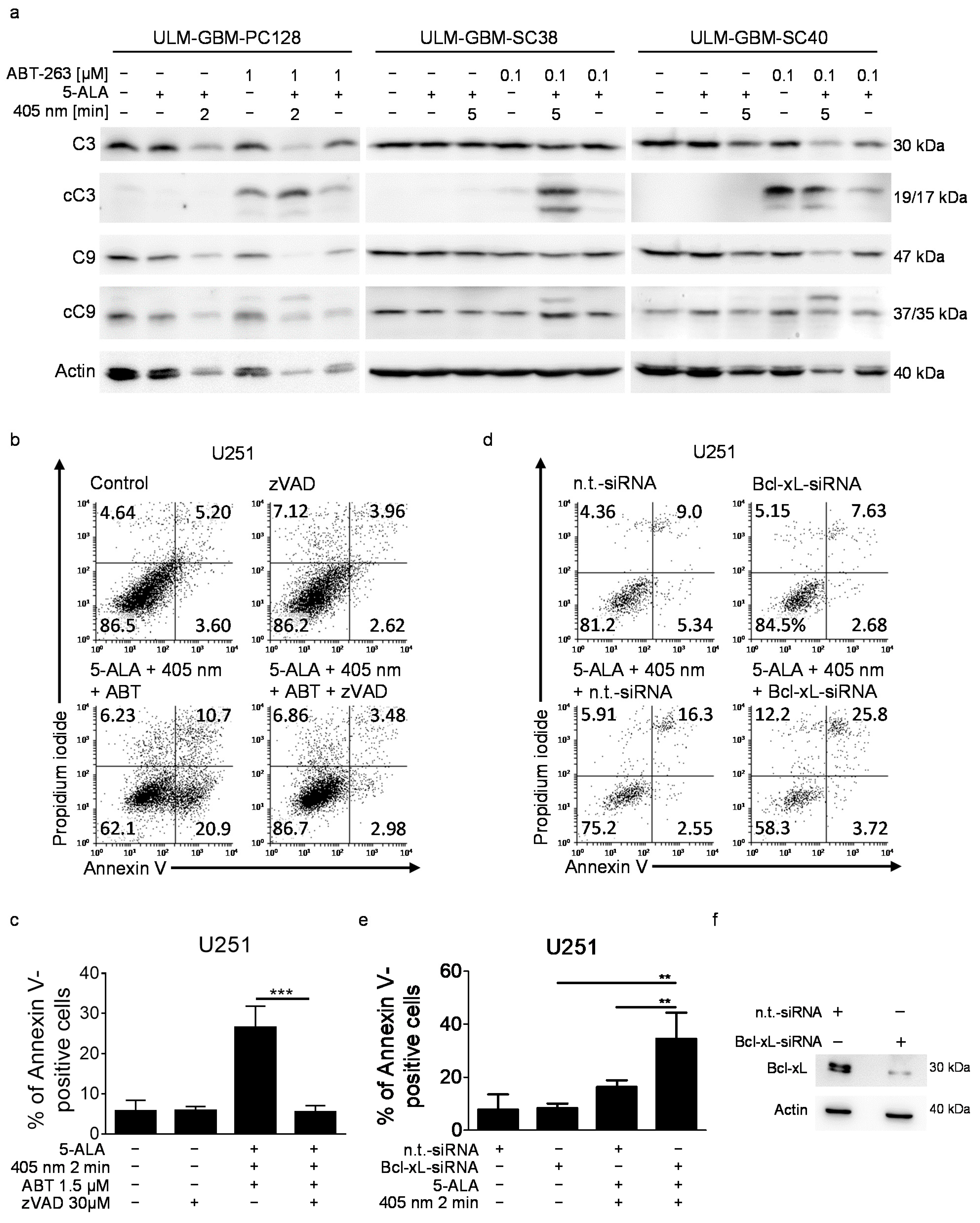 Cancers 13 04123 g003