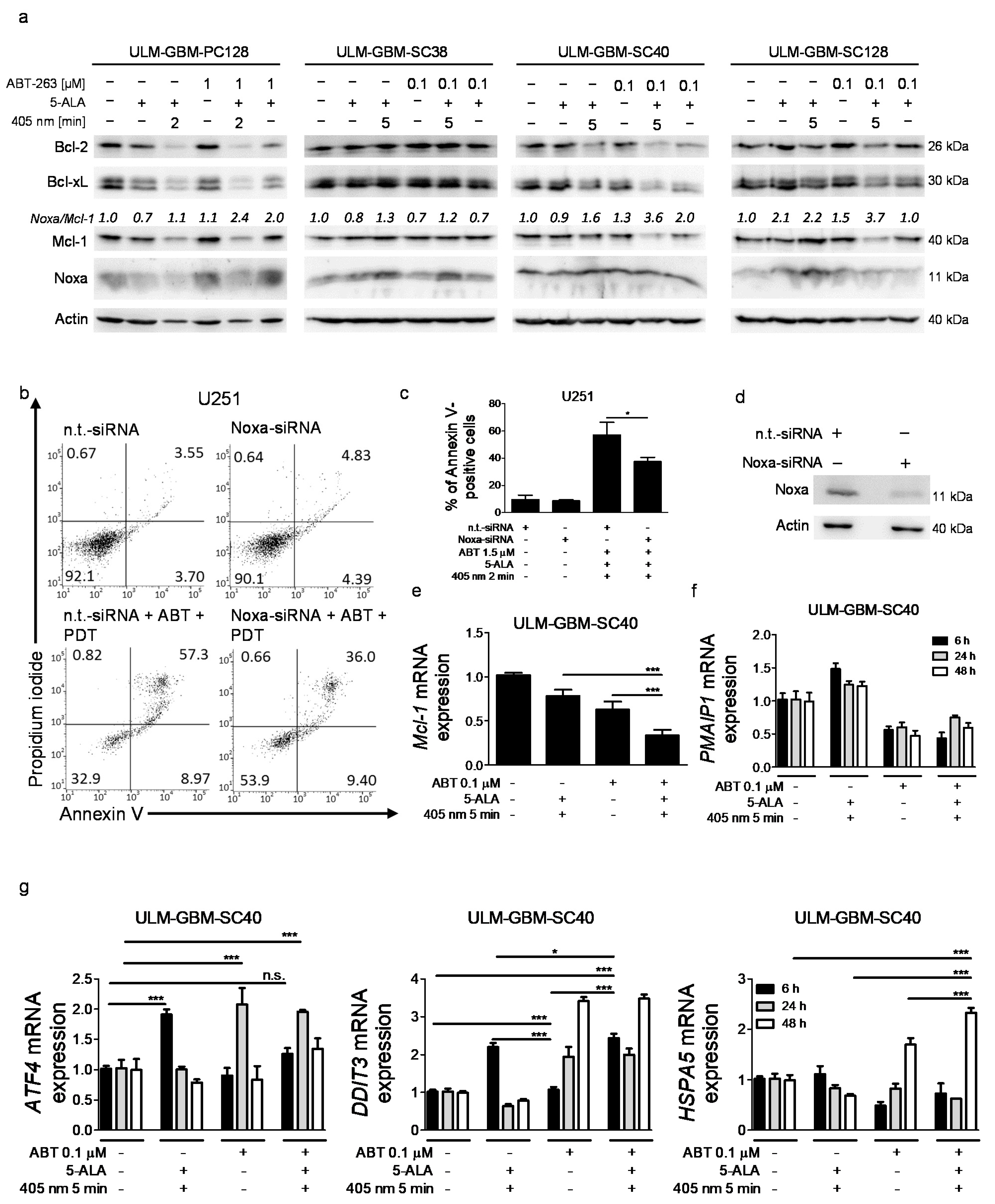 Cancers 13 04123 g004