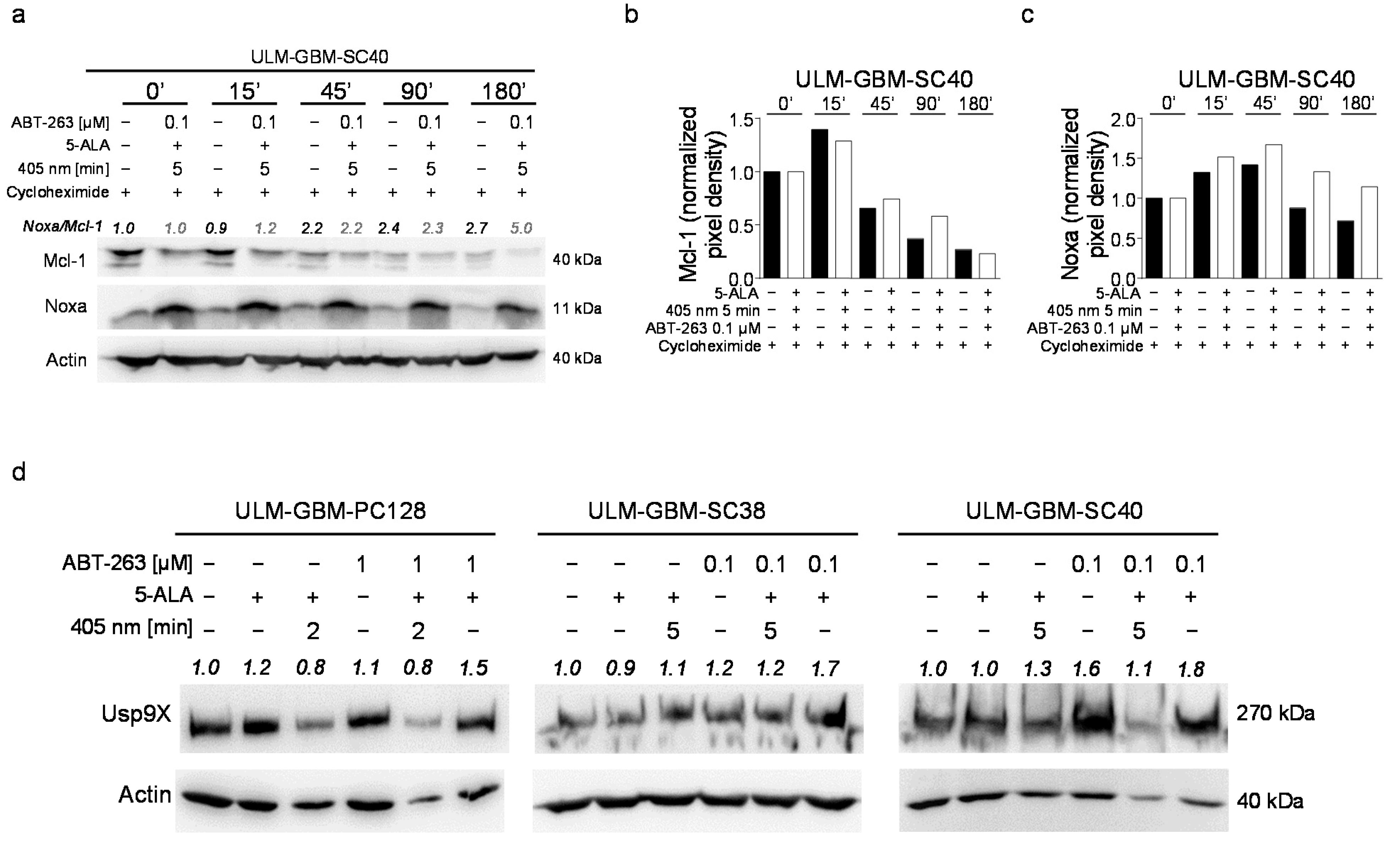 Cancers 13 04123 g005