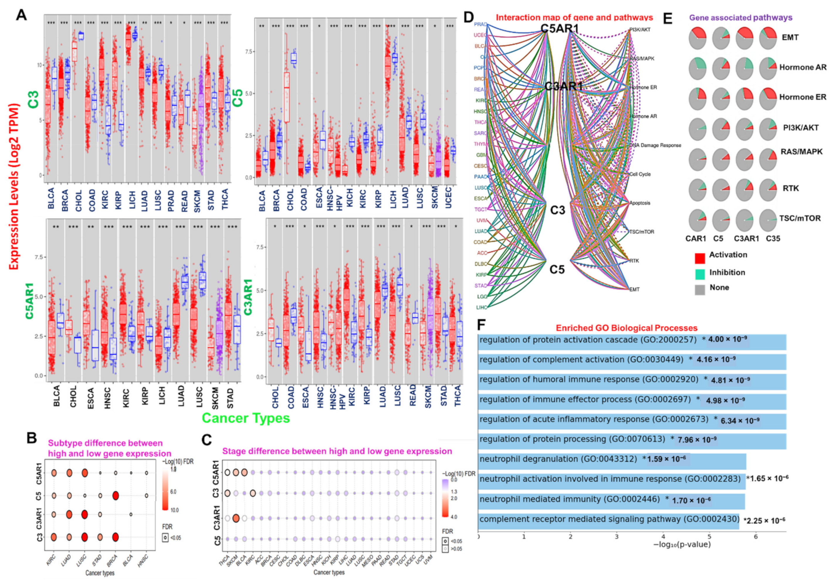 Cancers 13 04124 g001 550