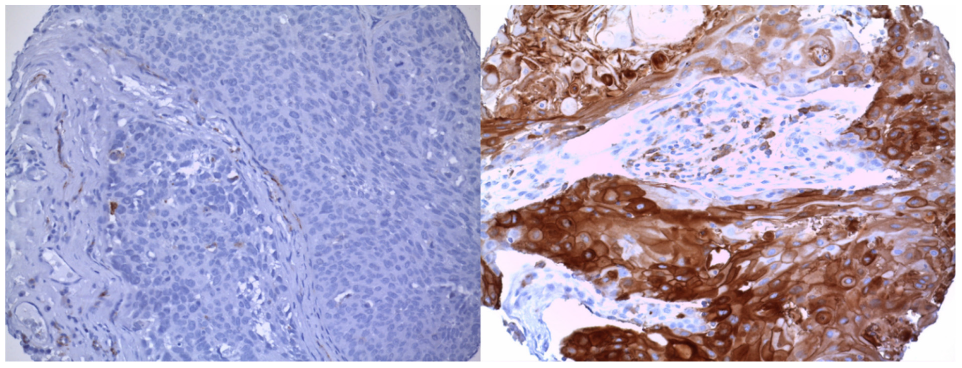 Cancers 13 04125 g001