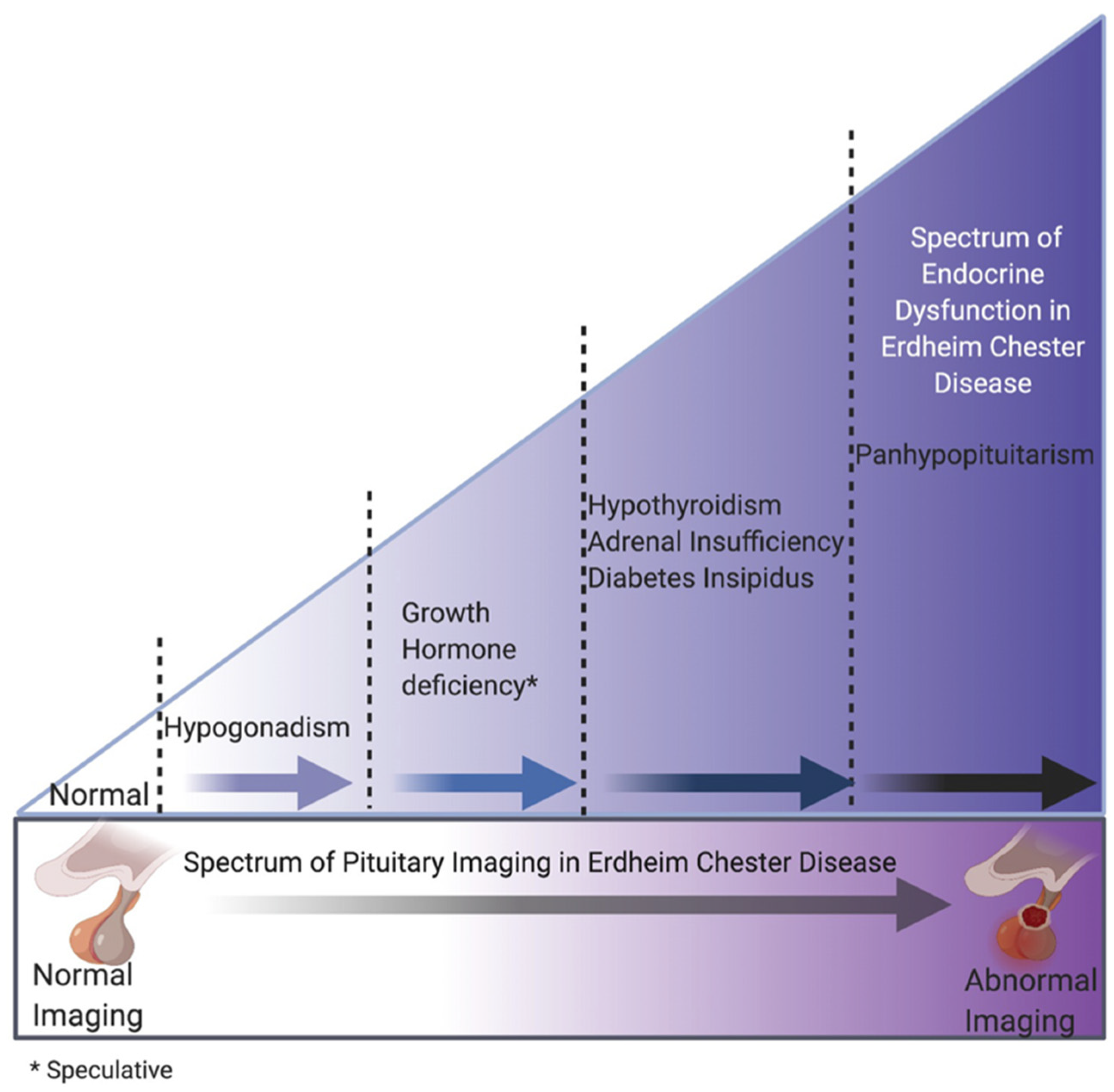 Cancers 13 04126 g002