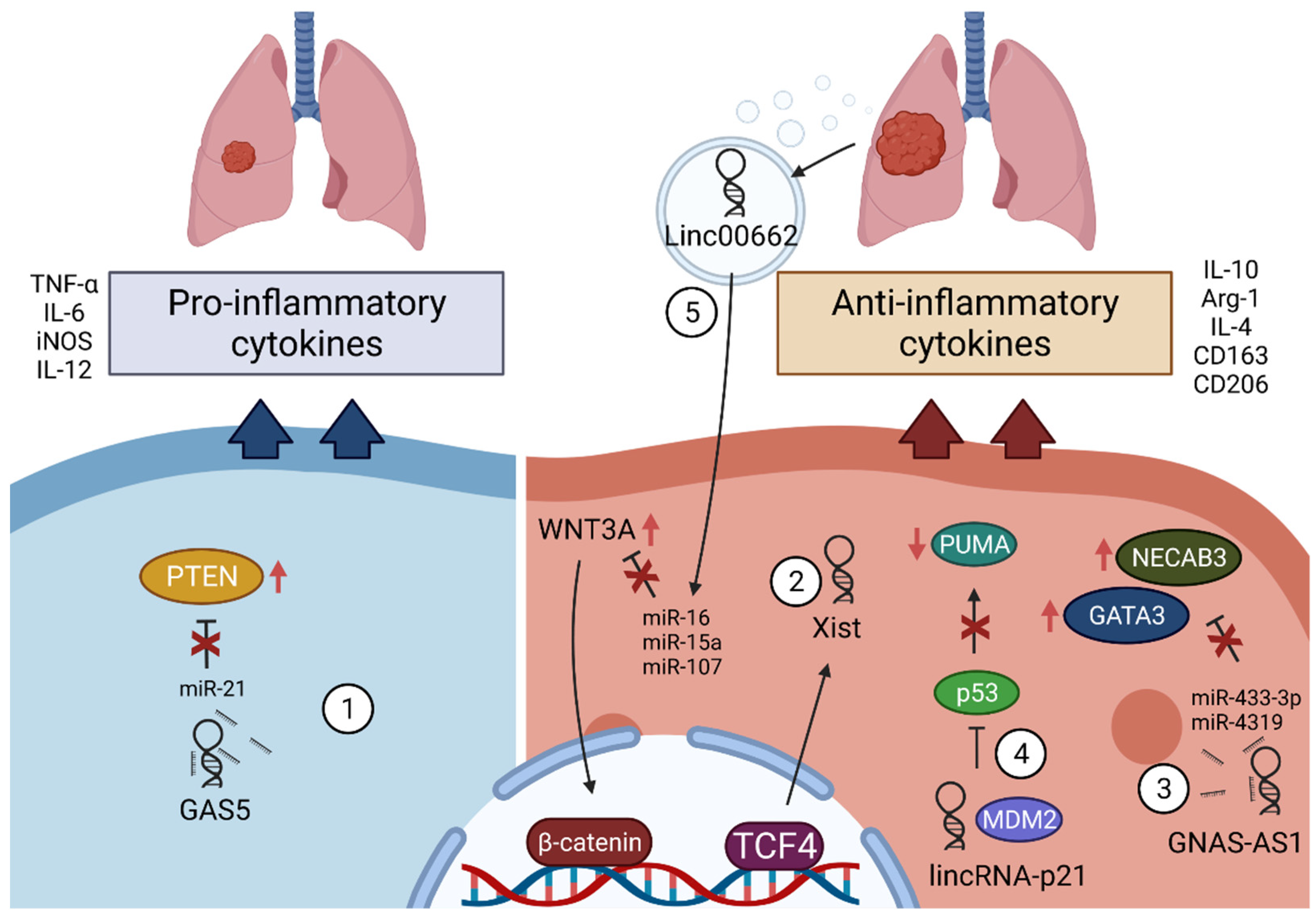 Cancers 13 04127 g003 550