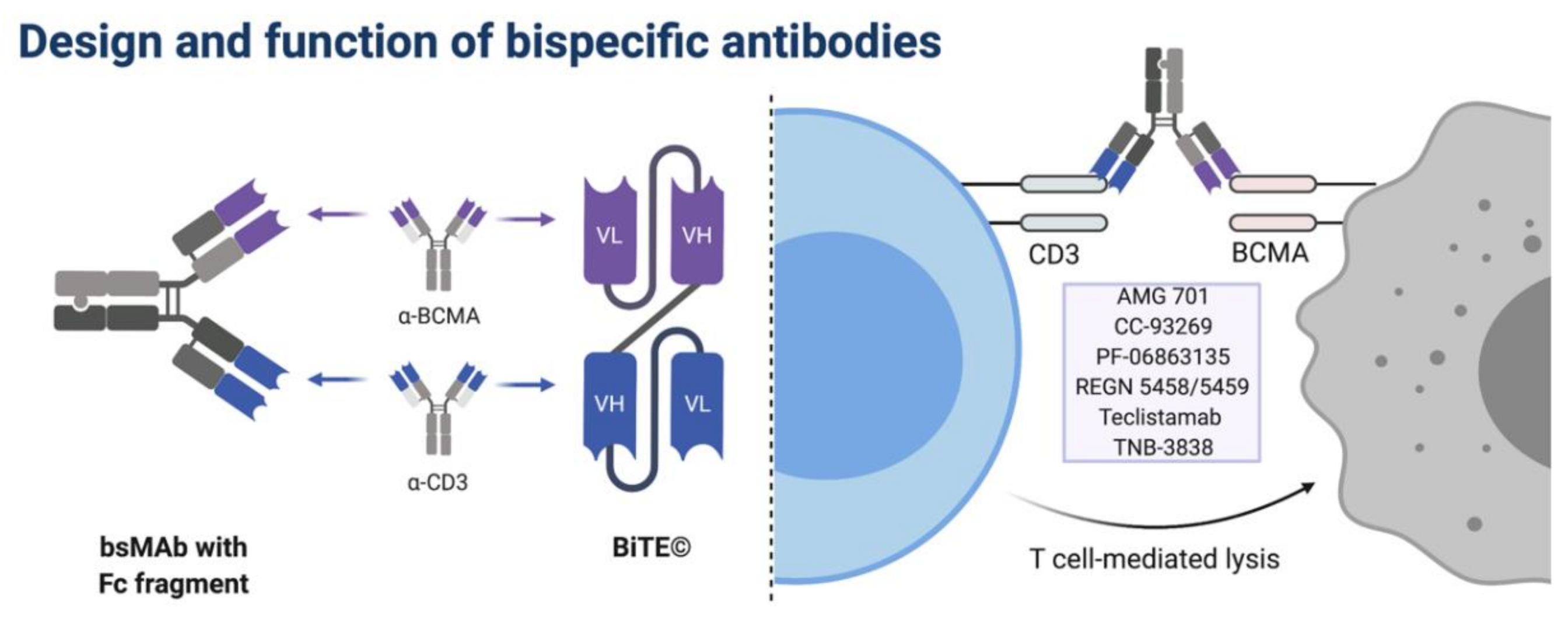 Cancers 13 04135 g001 550