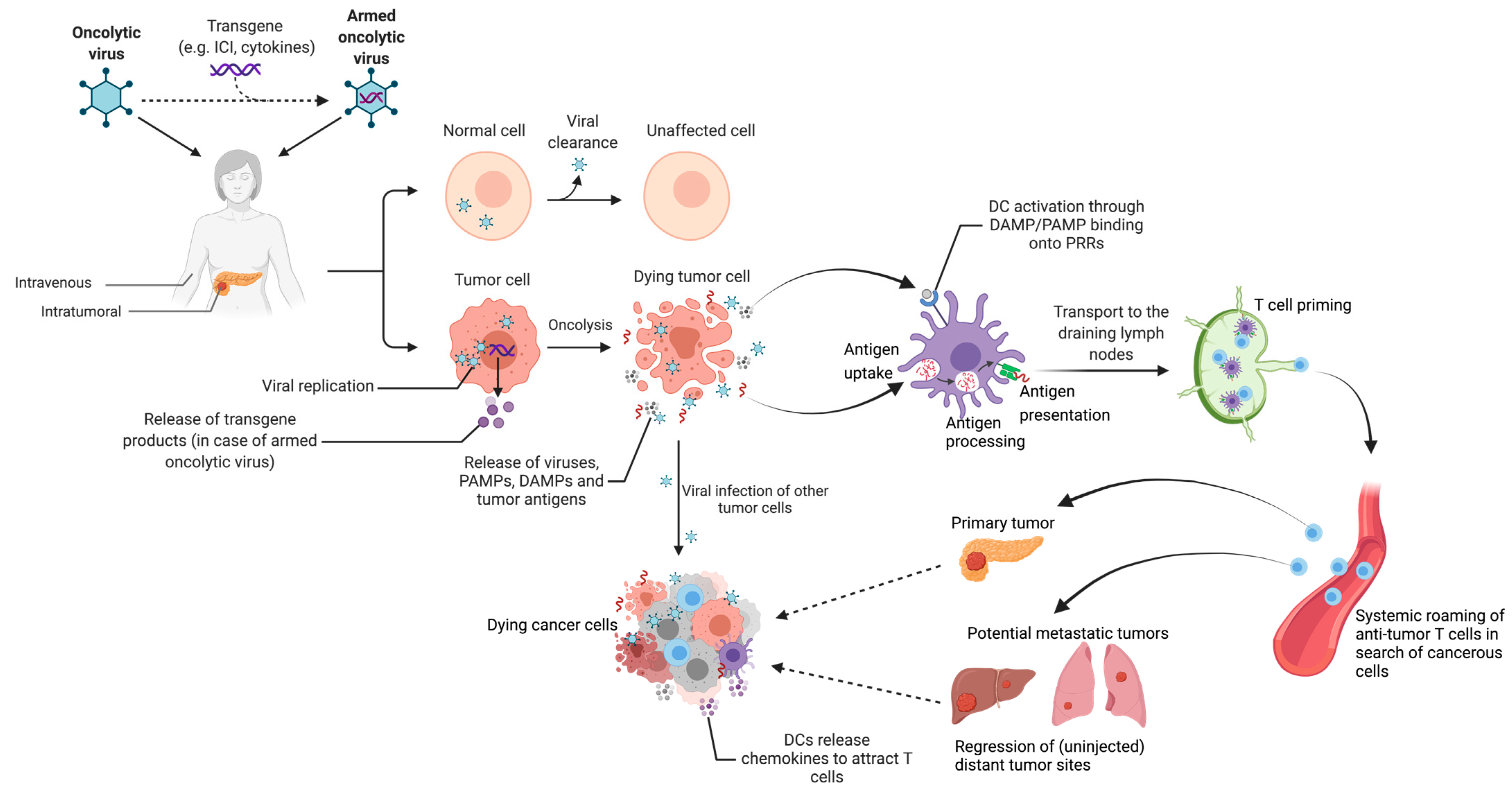 Cancers 13 04138 g004