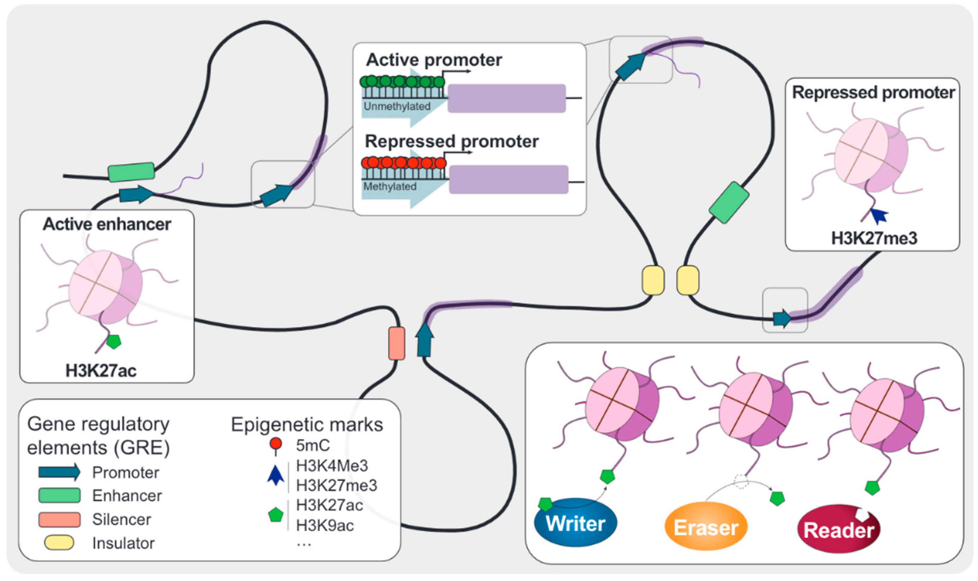 Cancers 13 04139 g001